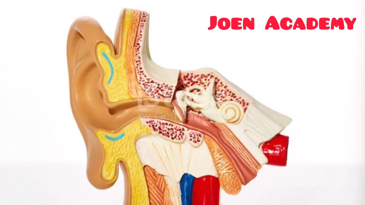 @Joen Academy
