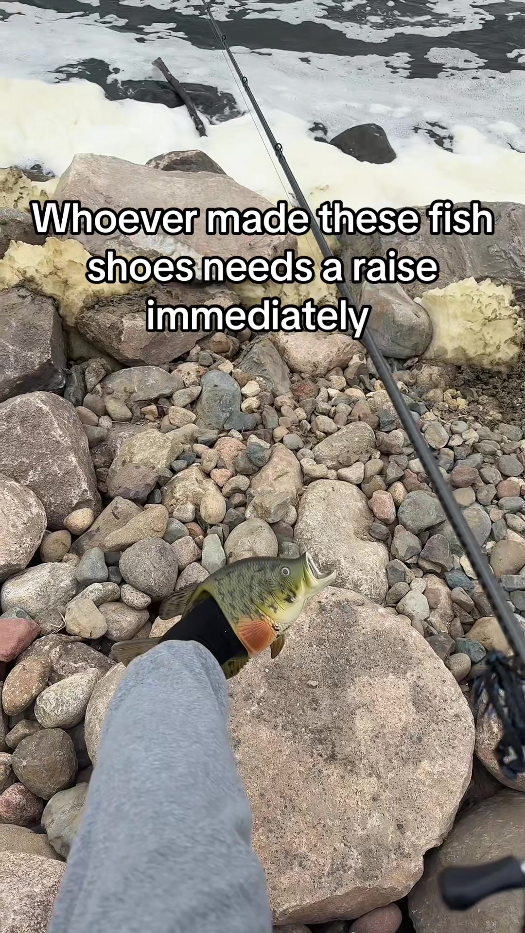 @Bcontent | 🎣🏕️🥘💄