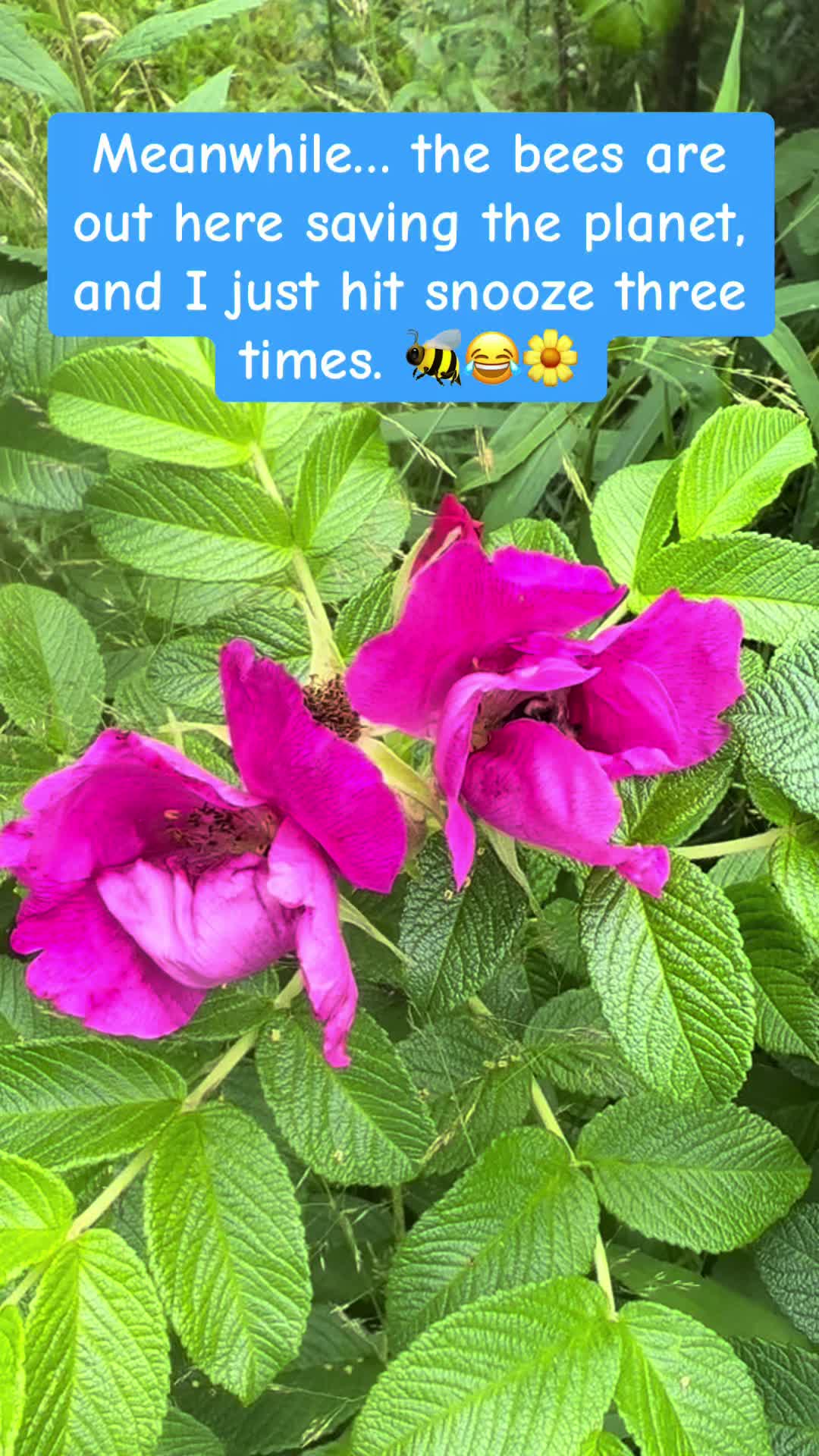 @onmywaytobeinghealthy