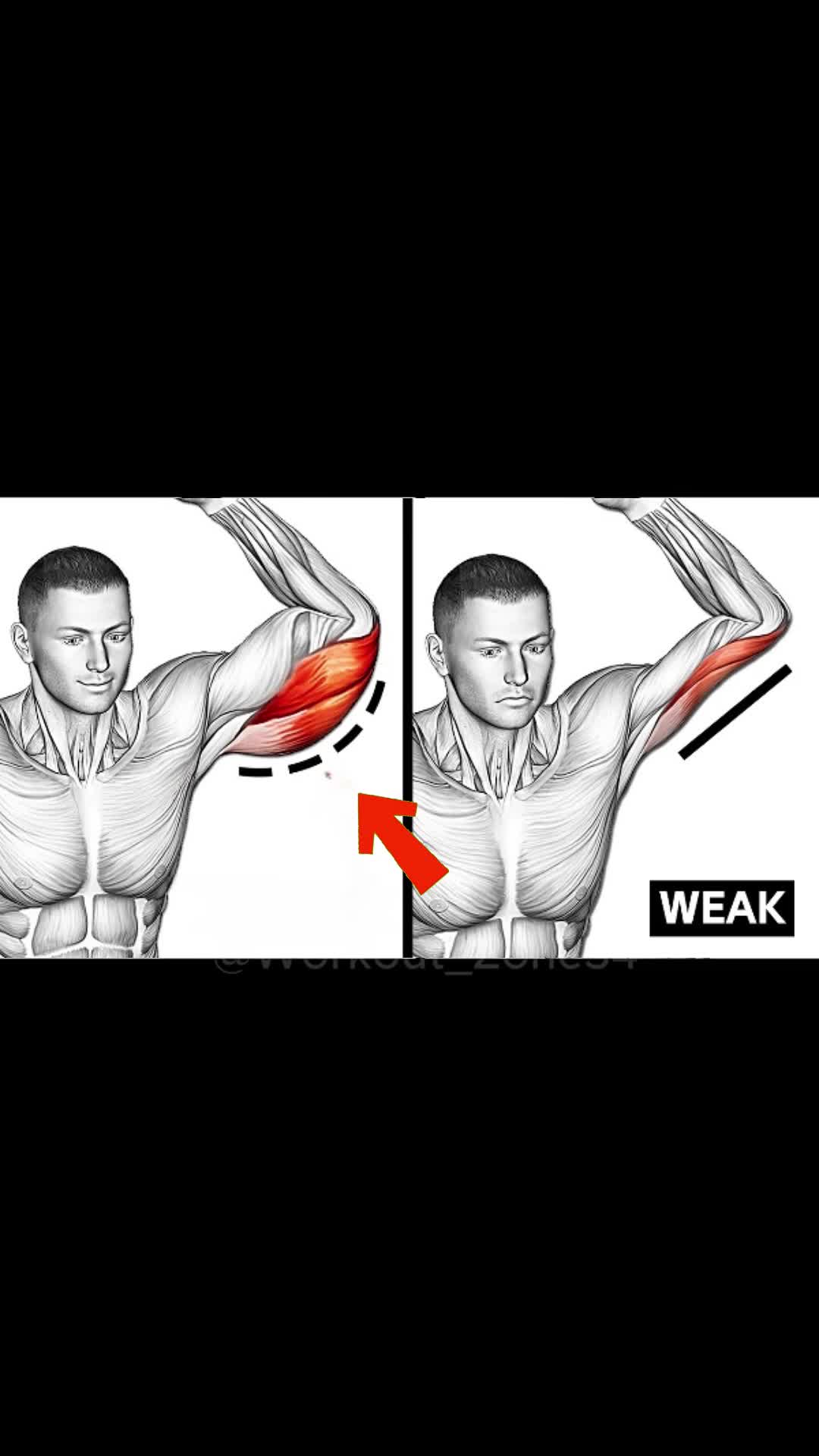 @workout_zone34