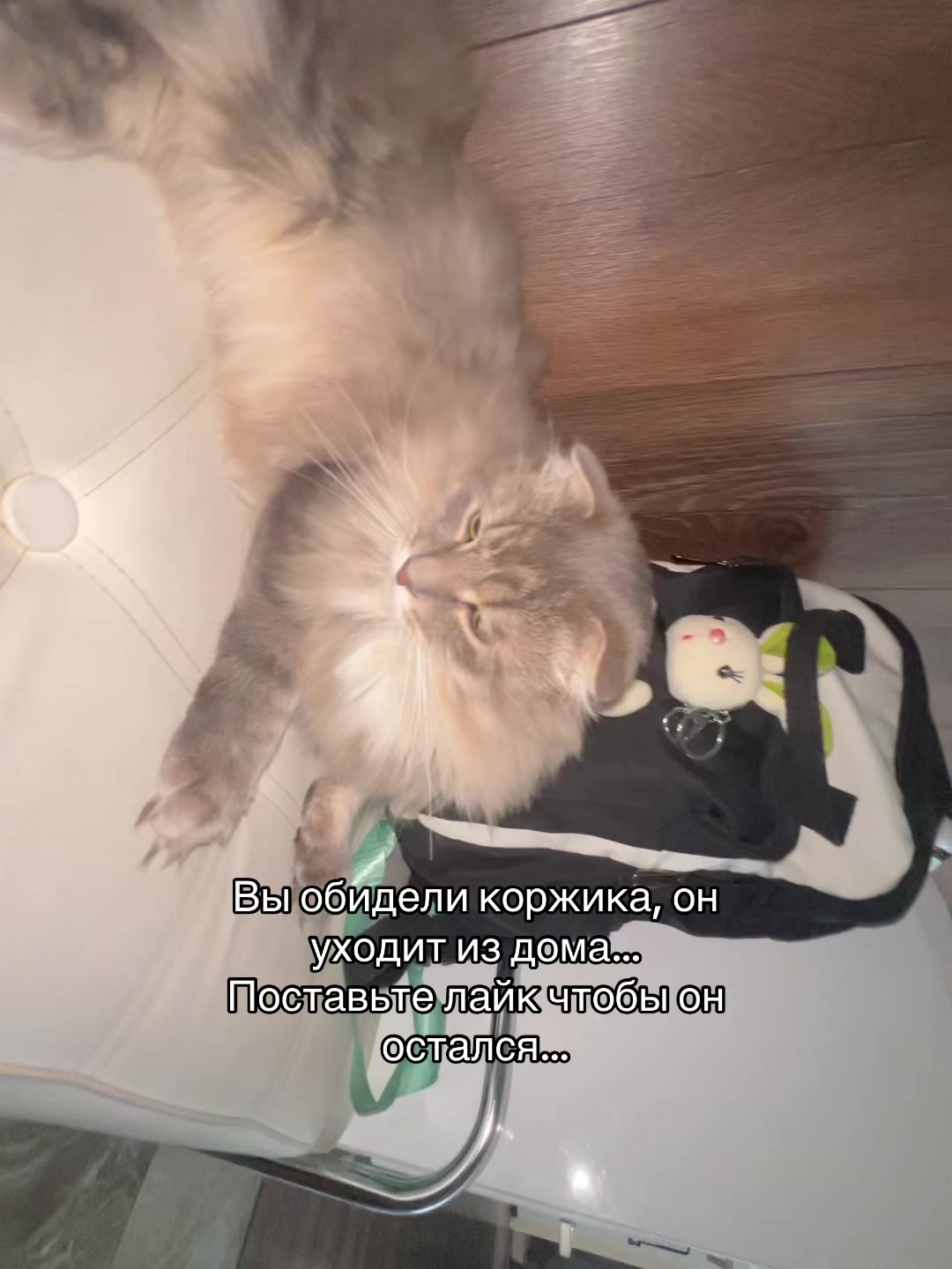 @калерия.