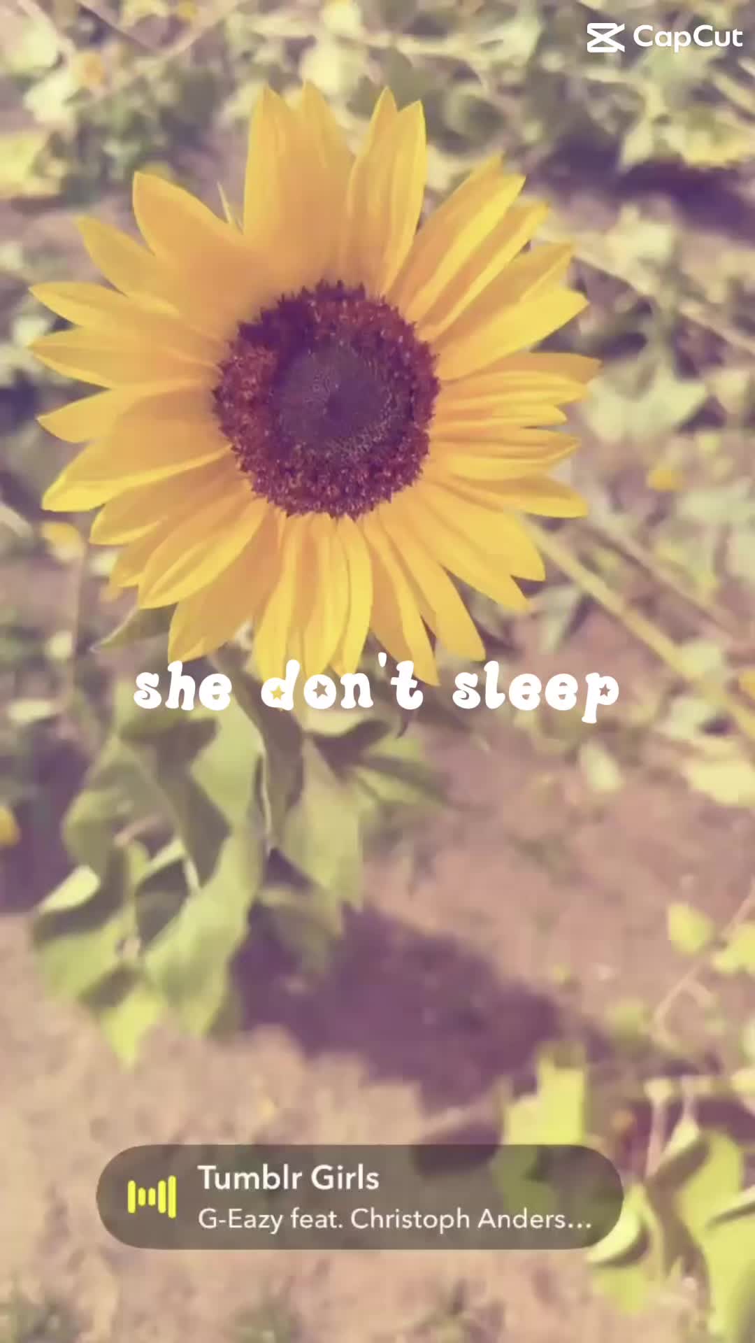 @Manda Dawn