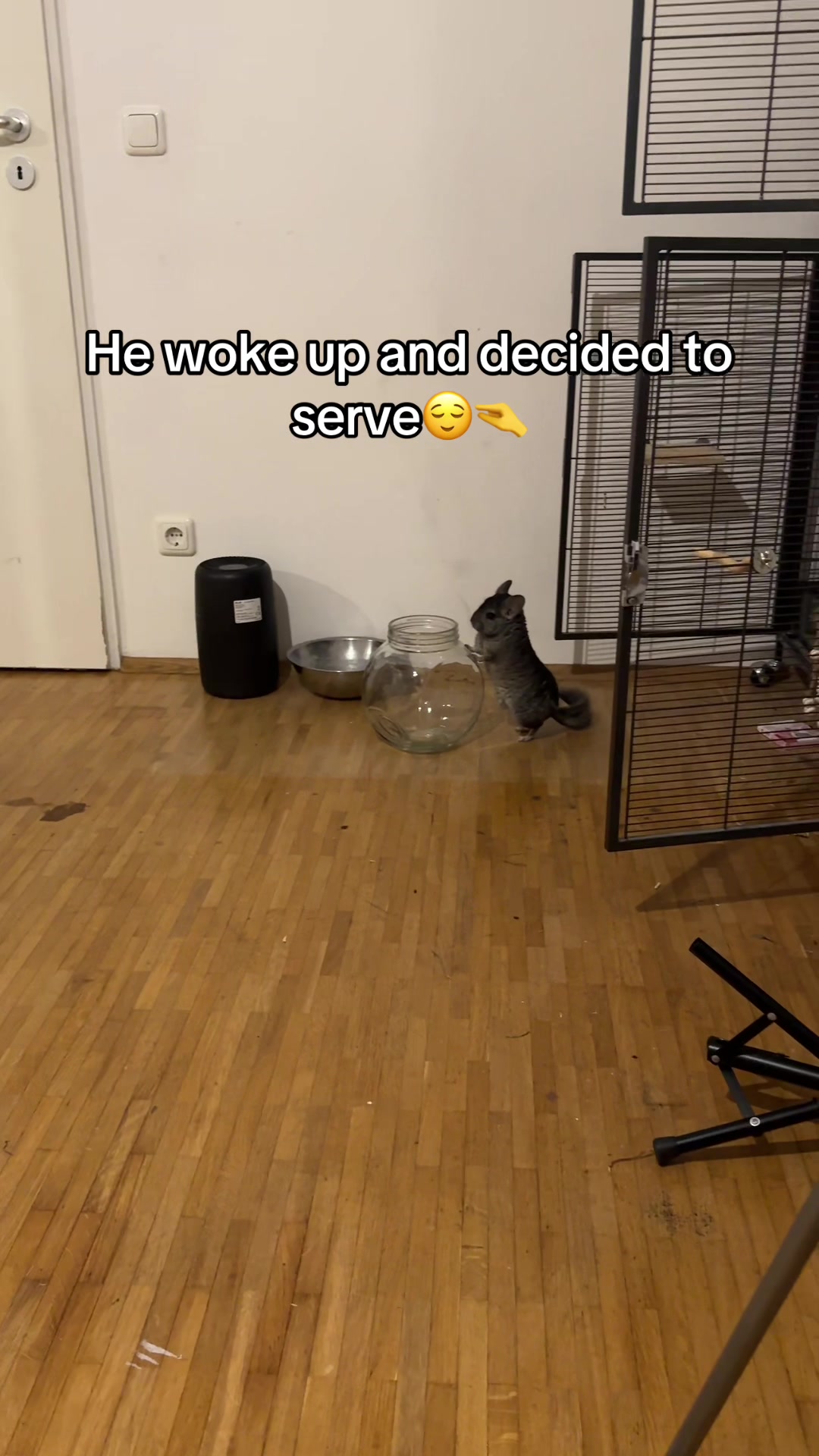 @BANDIT & STRIPE