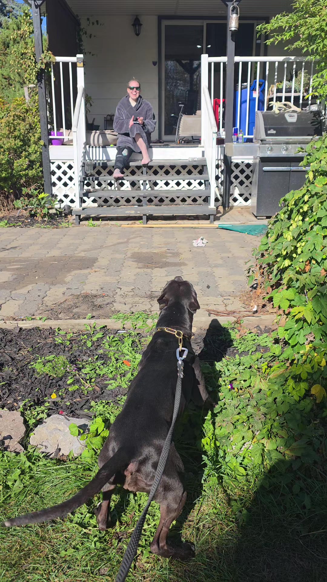 @RaisingHell.Hounds🇨🇦