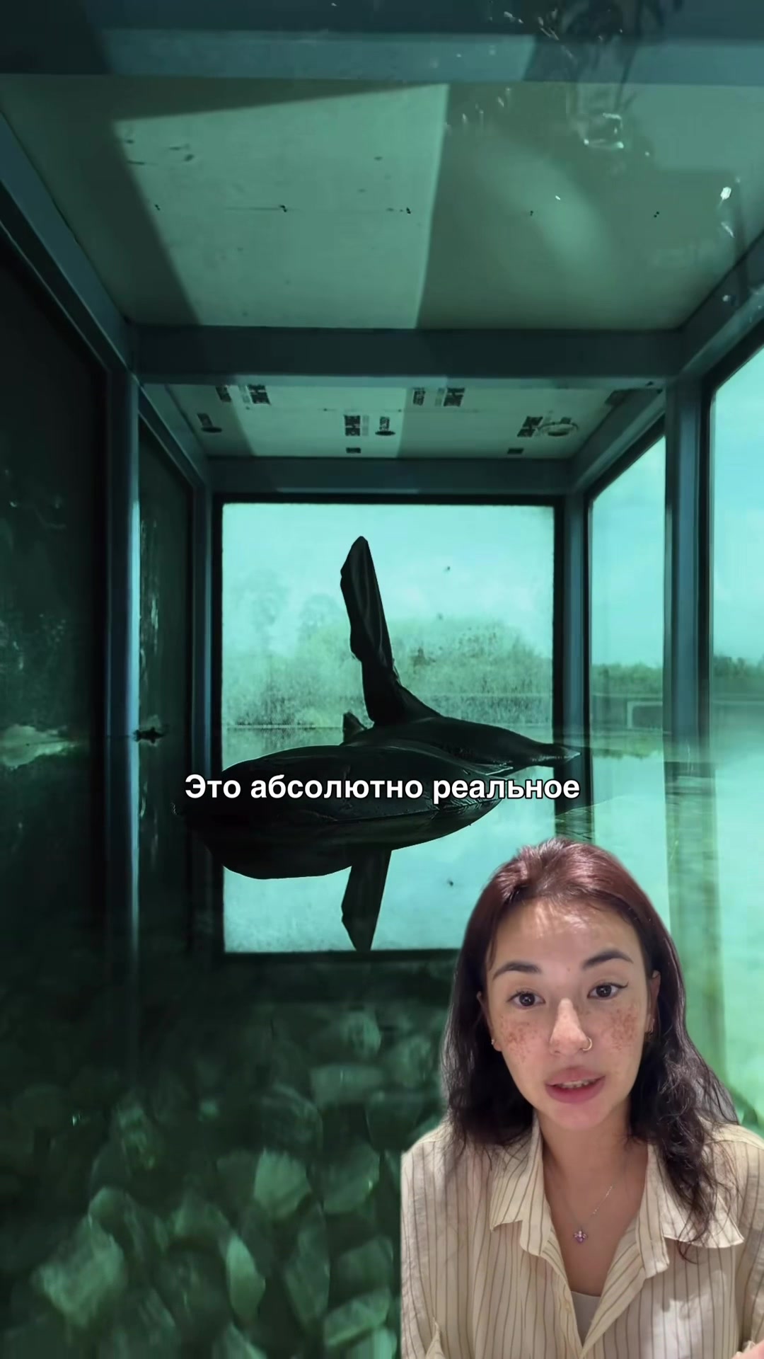 @тгк кружок всратых интересов