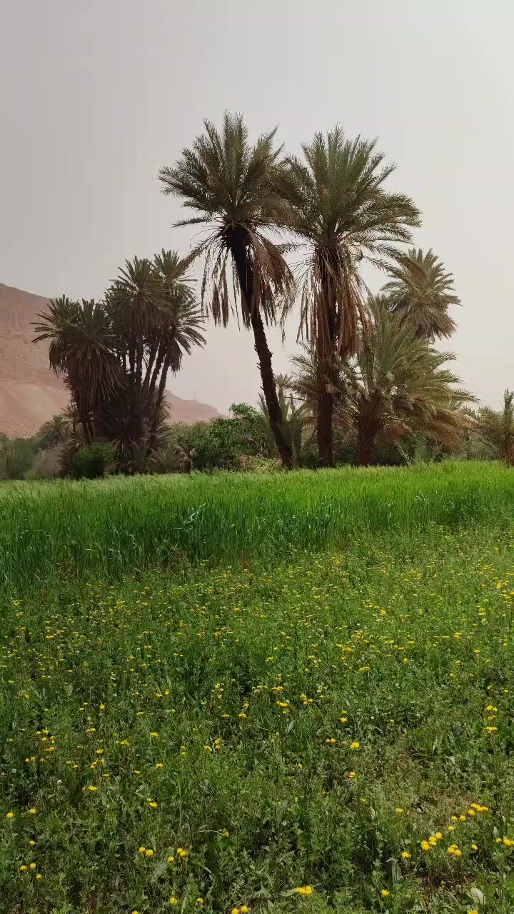 @goadventures-morocco