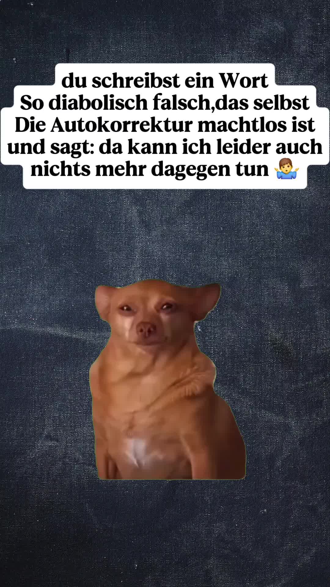 @gino