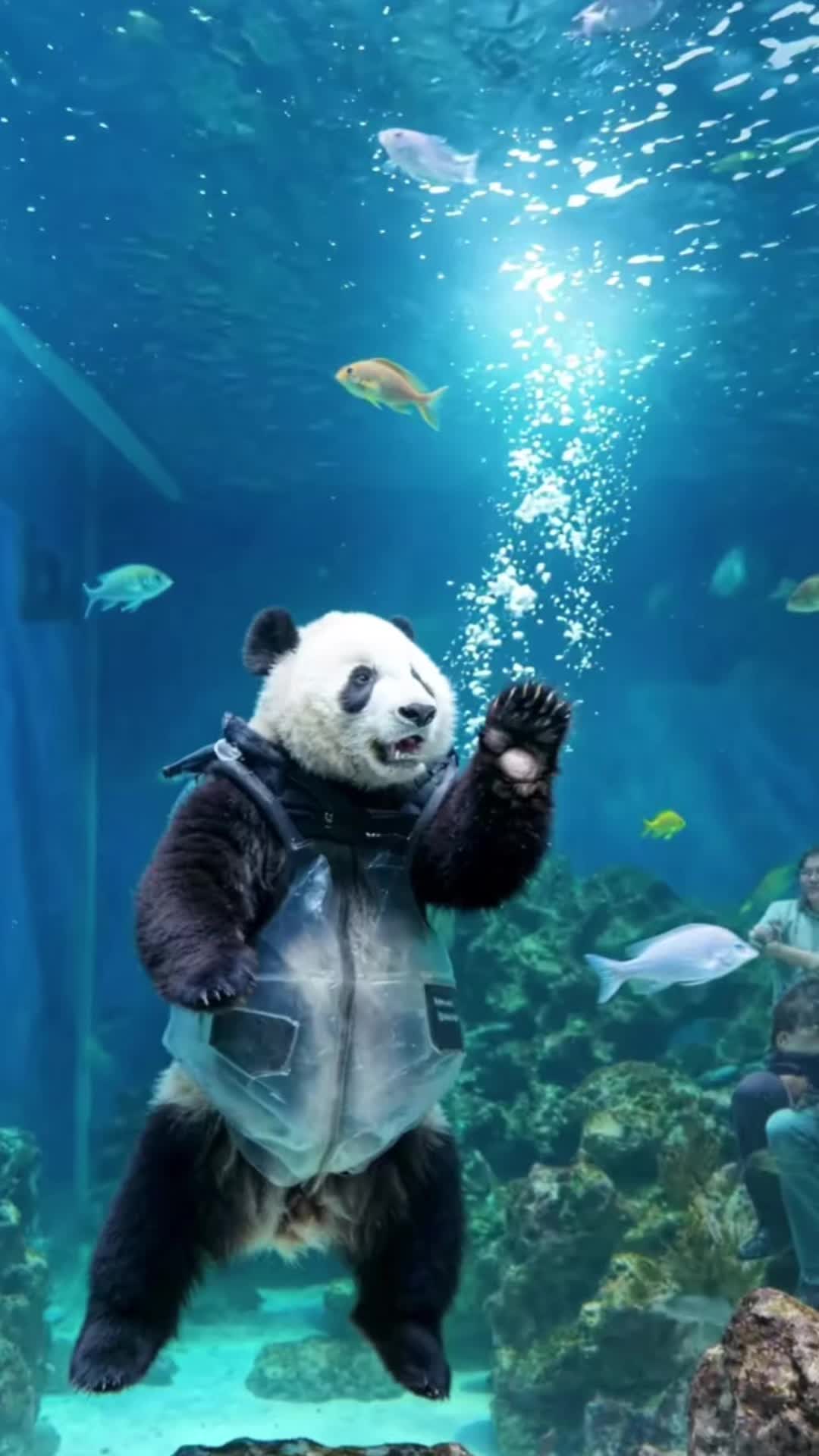 @lovepandas05