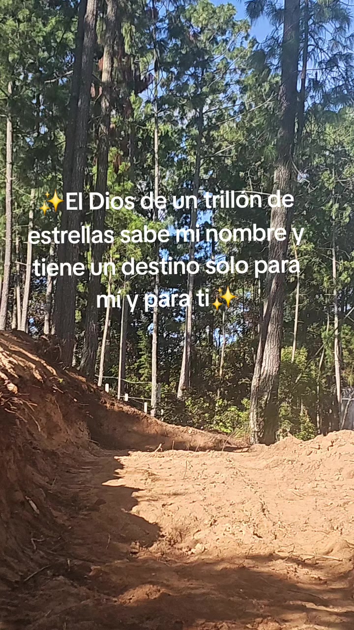 @CONSTRUCCIONES VICASTHER