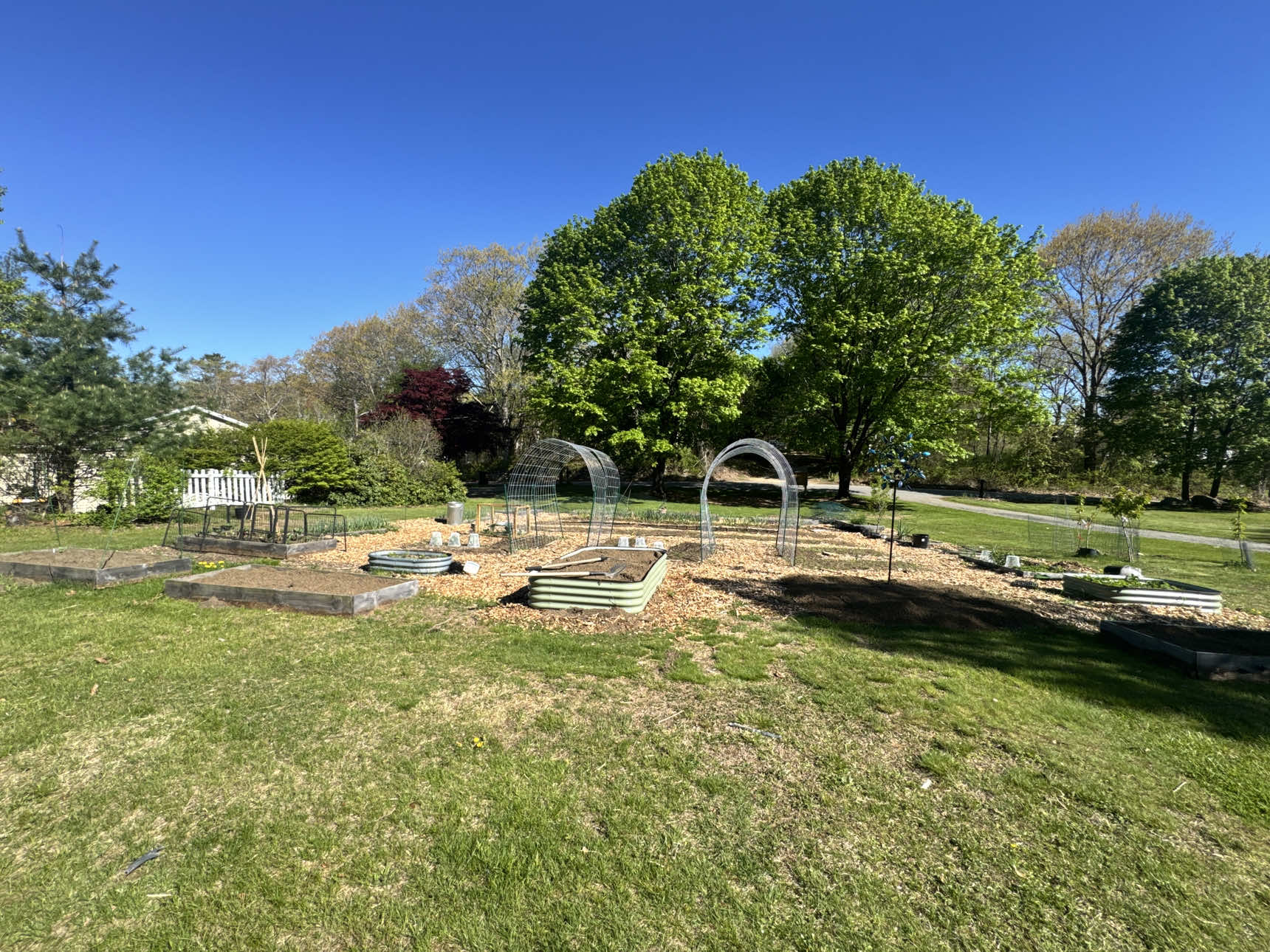 @Manica | zone 6a gardener