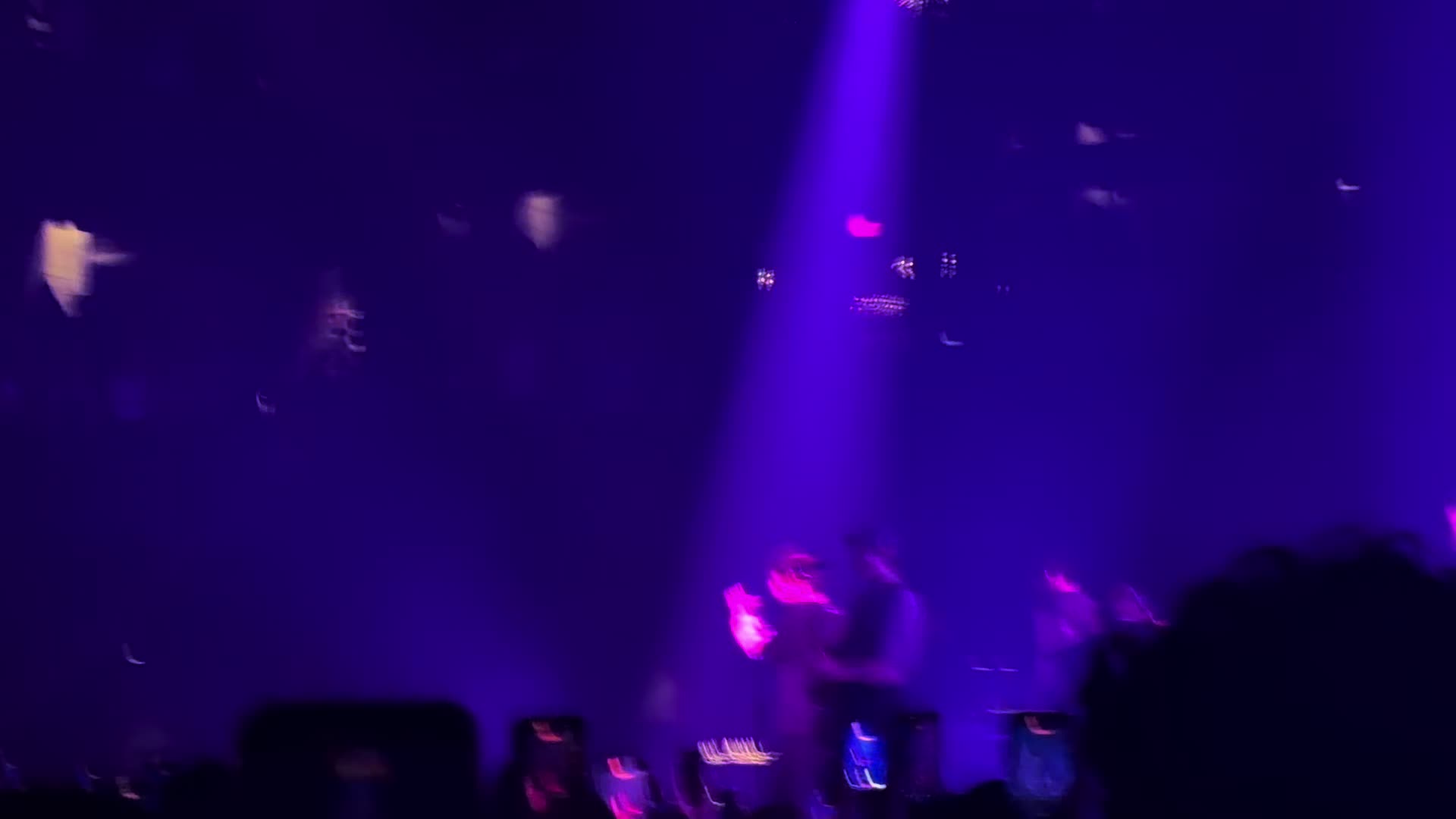 @immaplyboibunny