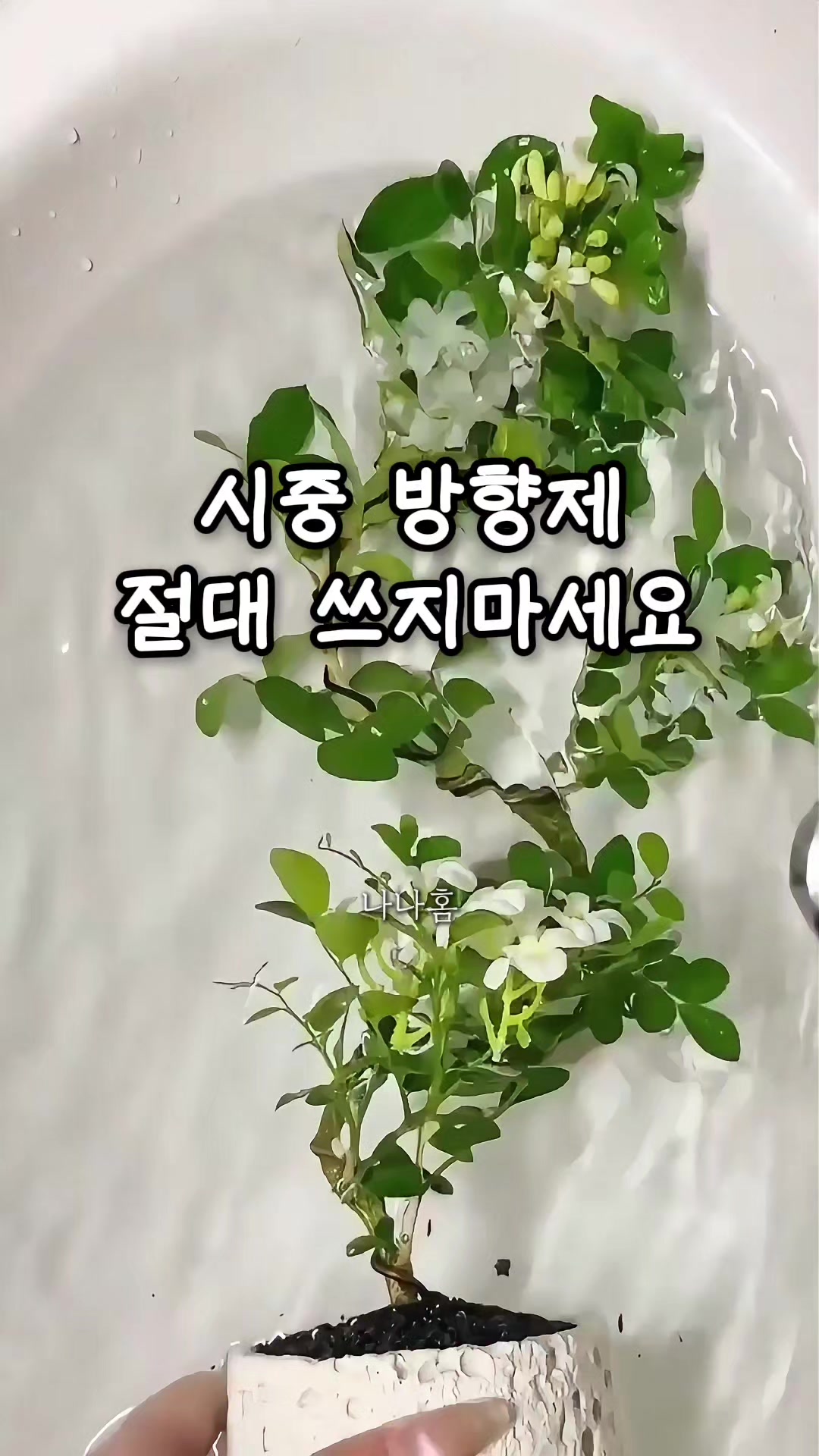 @나나홈
