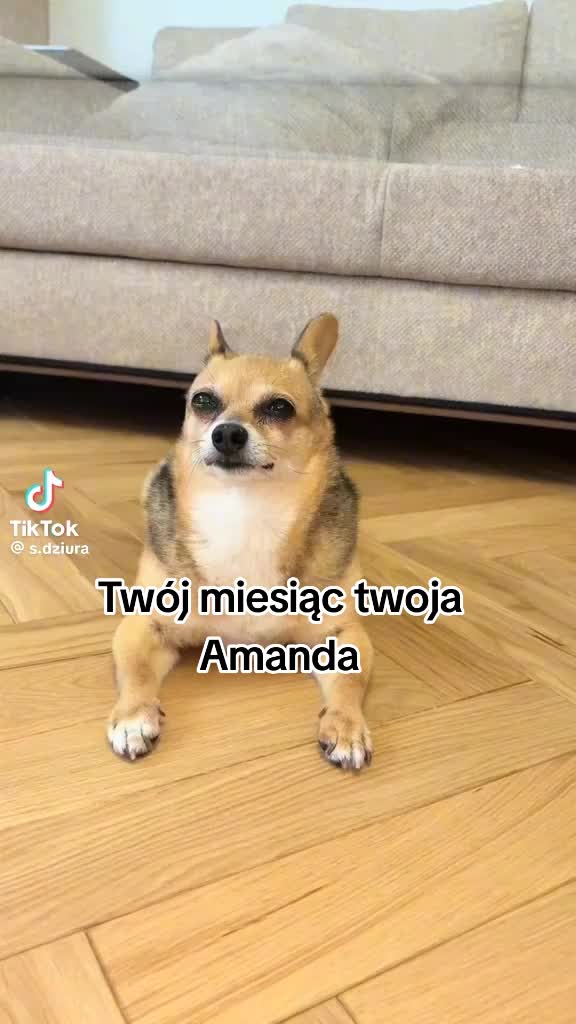 @PavvciooTV to ja😁