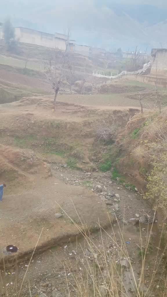 @shaidullah1129