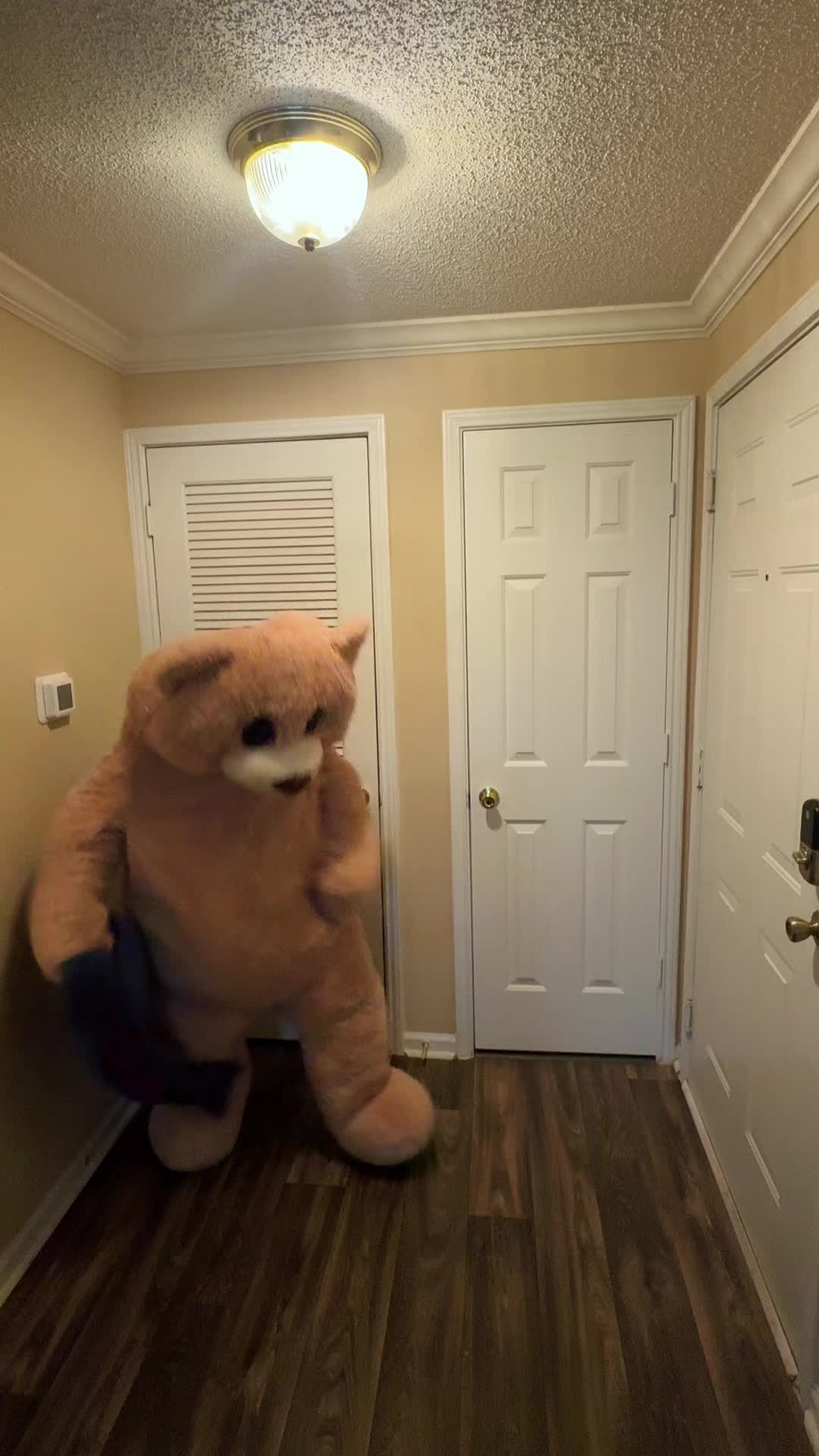 @jaythedancingbear