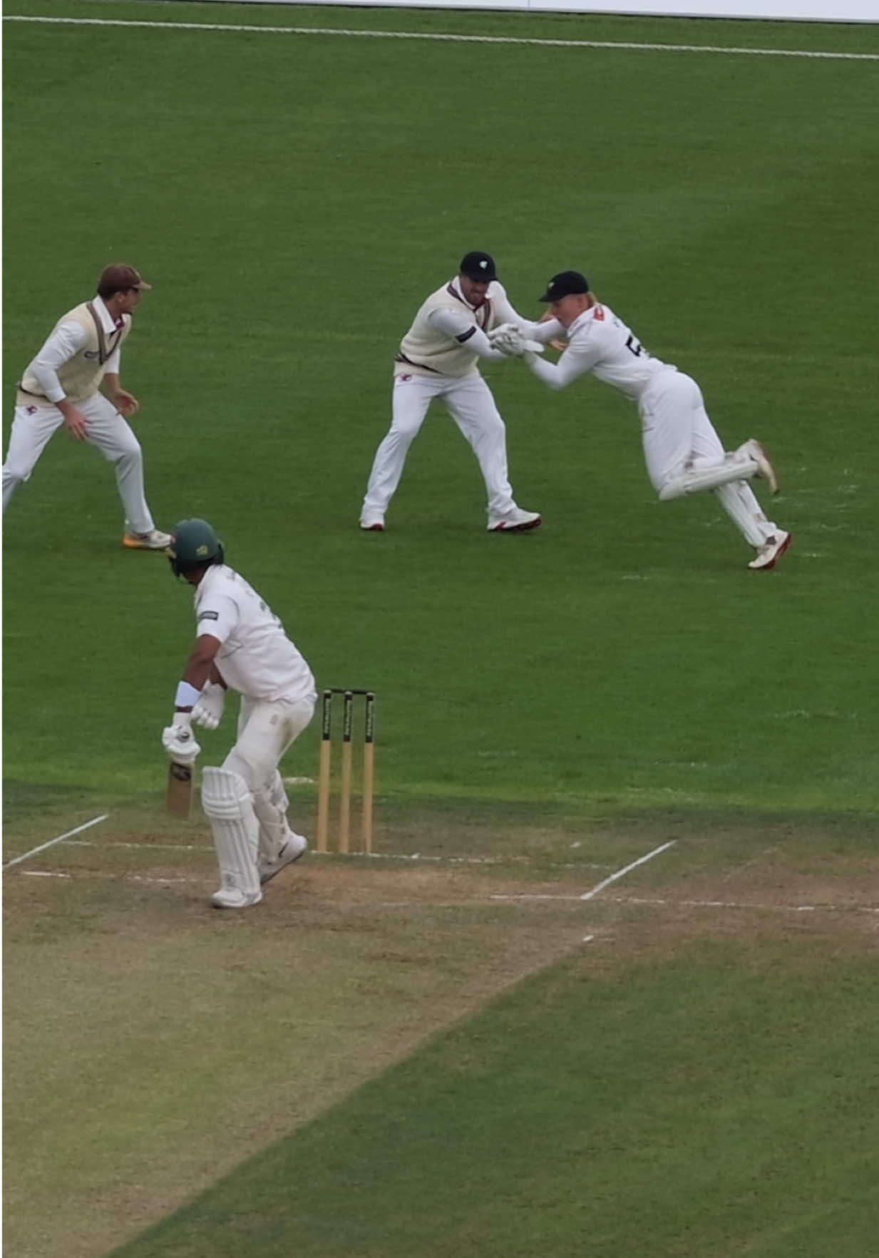 @Somerset Cricket