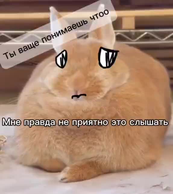 @крутая варандешка пинки 228