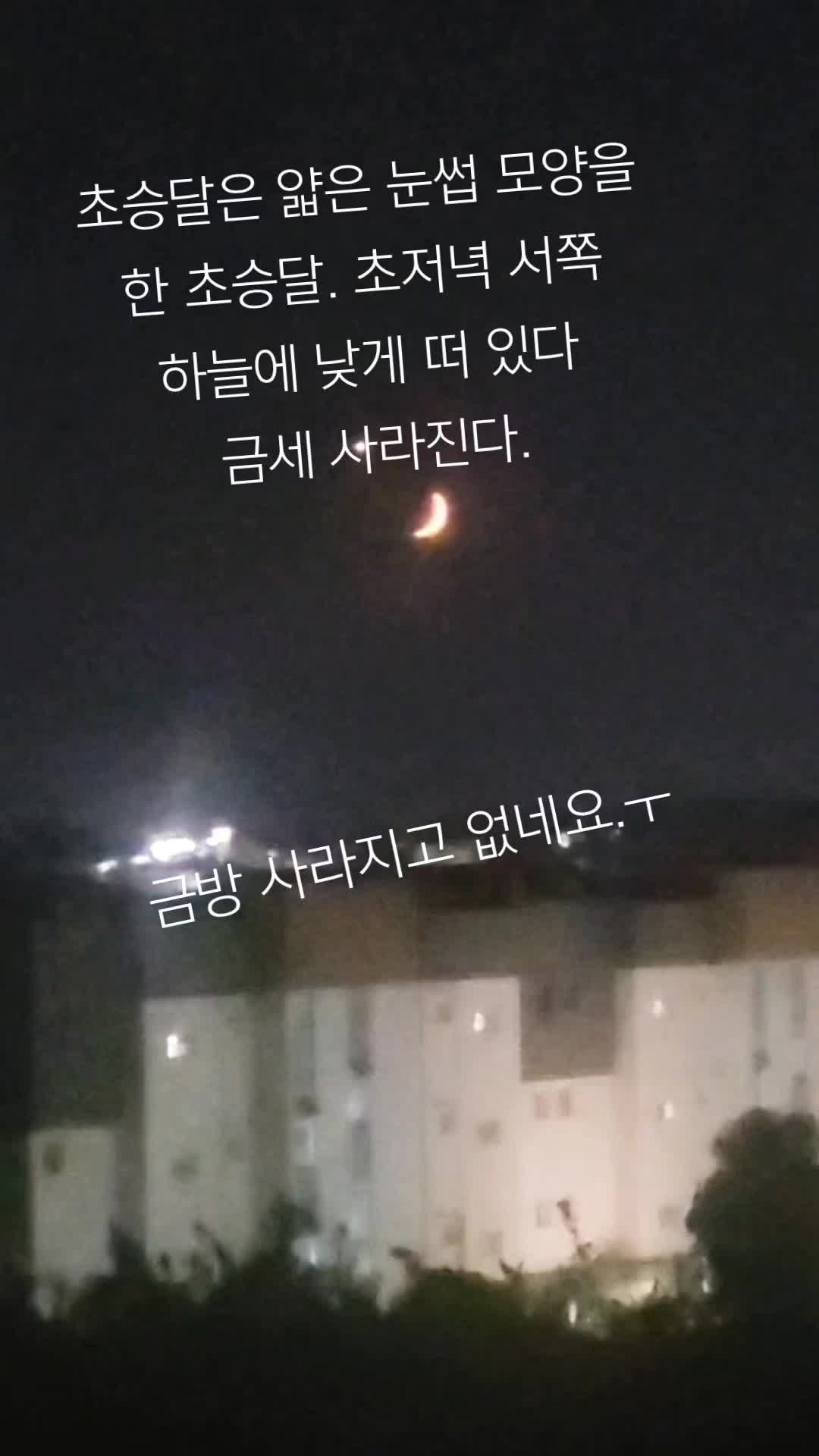 @앤
