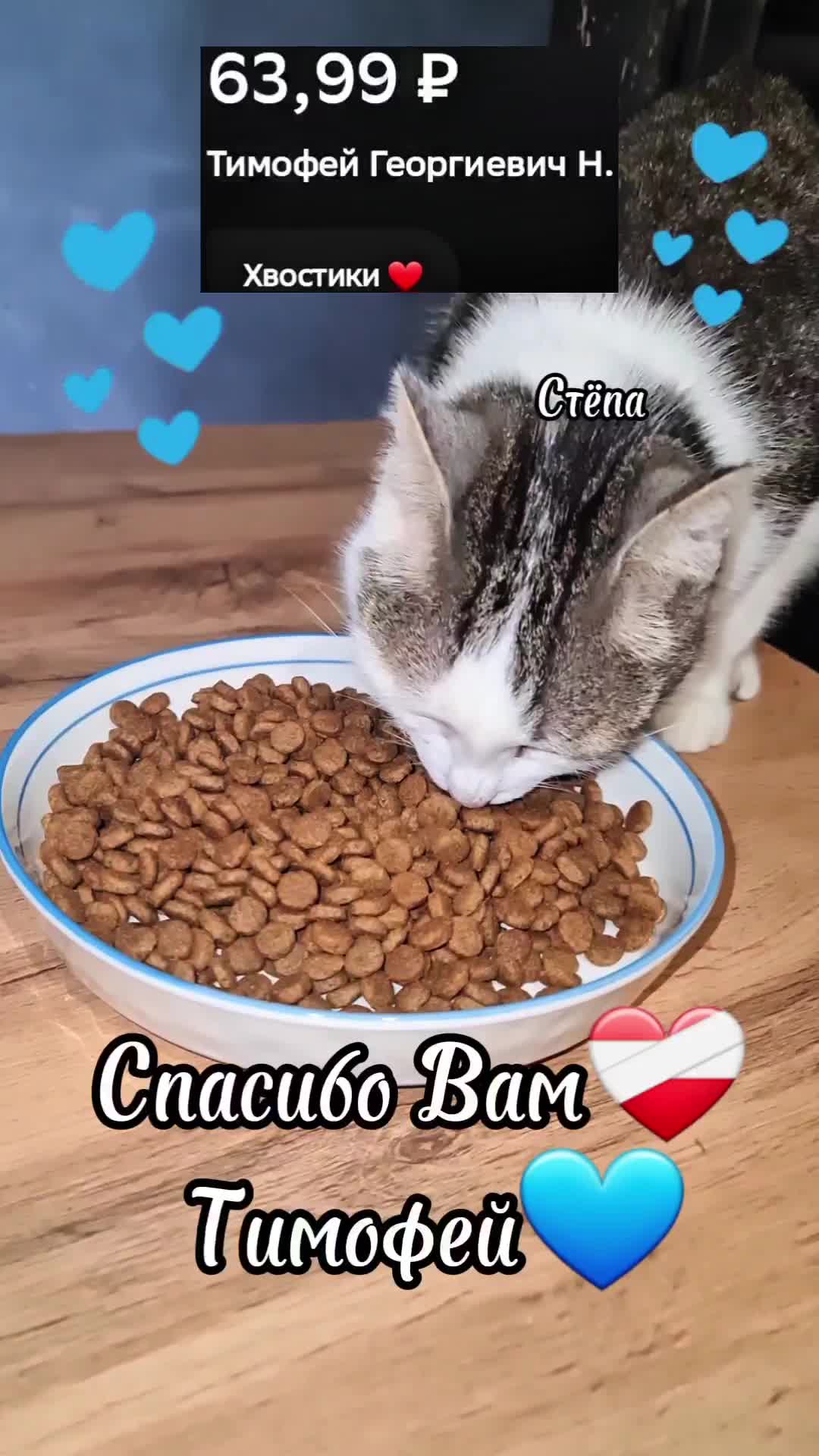 @Кошкин Дом