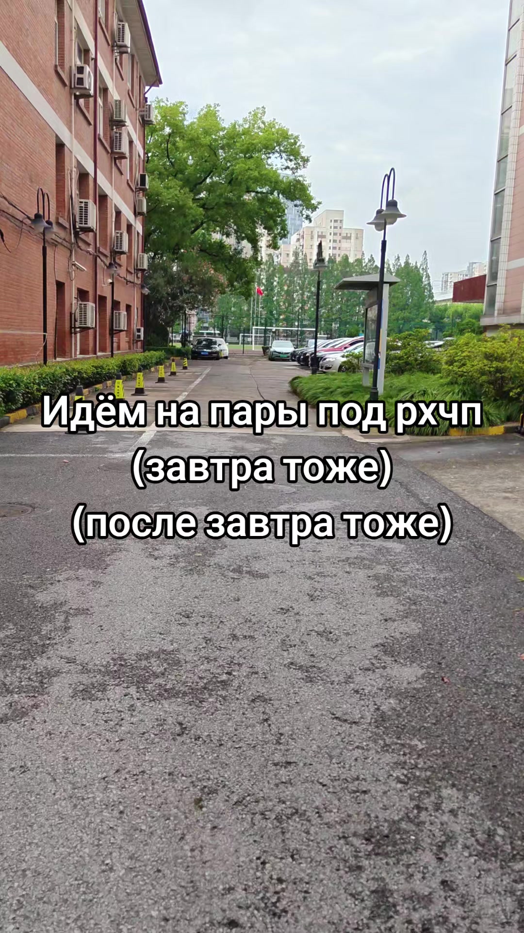 @ᛇᛉxqonikᛉᚠ