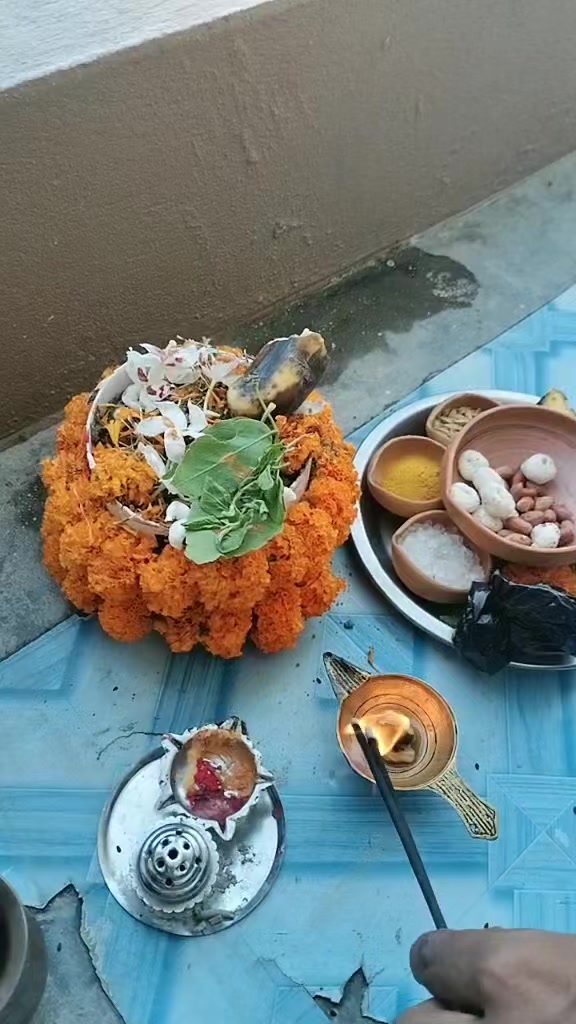 @Ranjana Singh ❣️