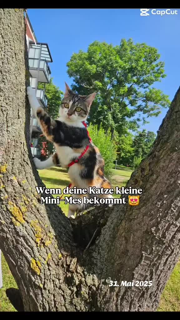 @name_nicht_verfügbar🖤