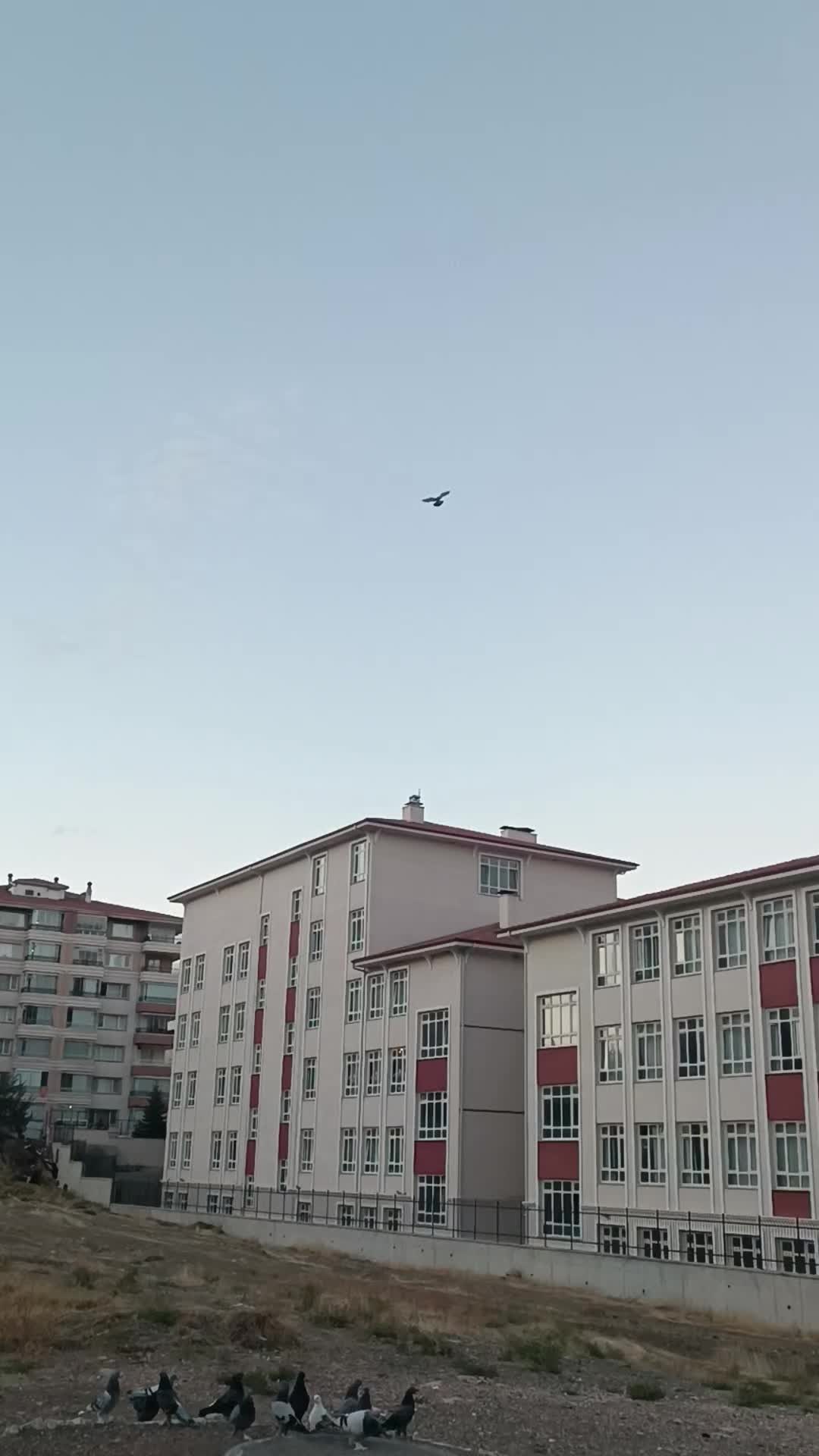 @E Sever06
