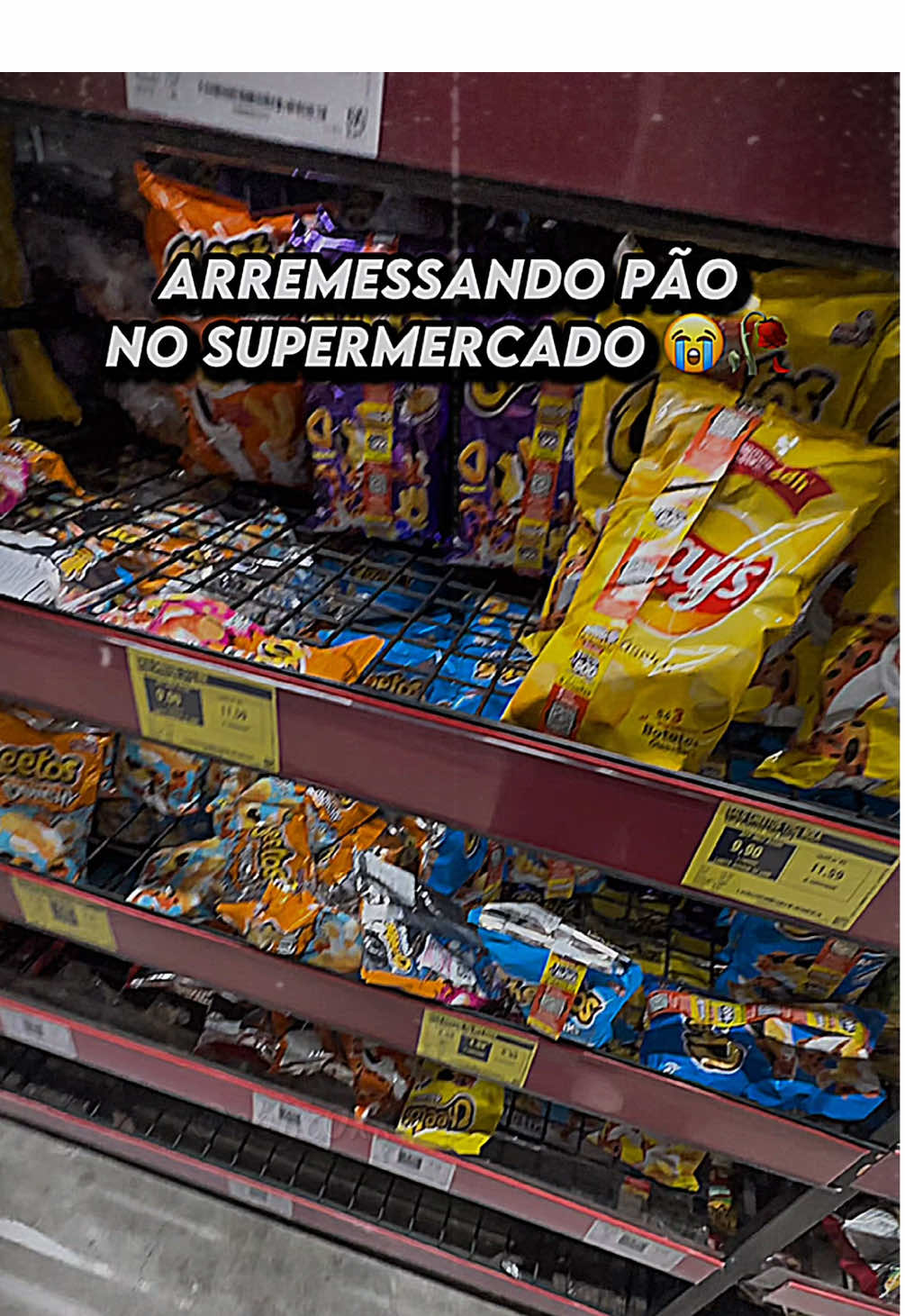 @shyc0xx 🇧🇷