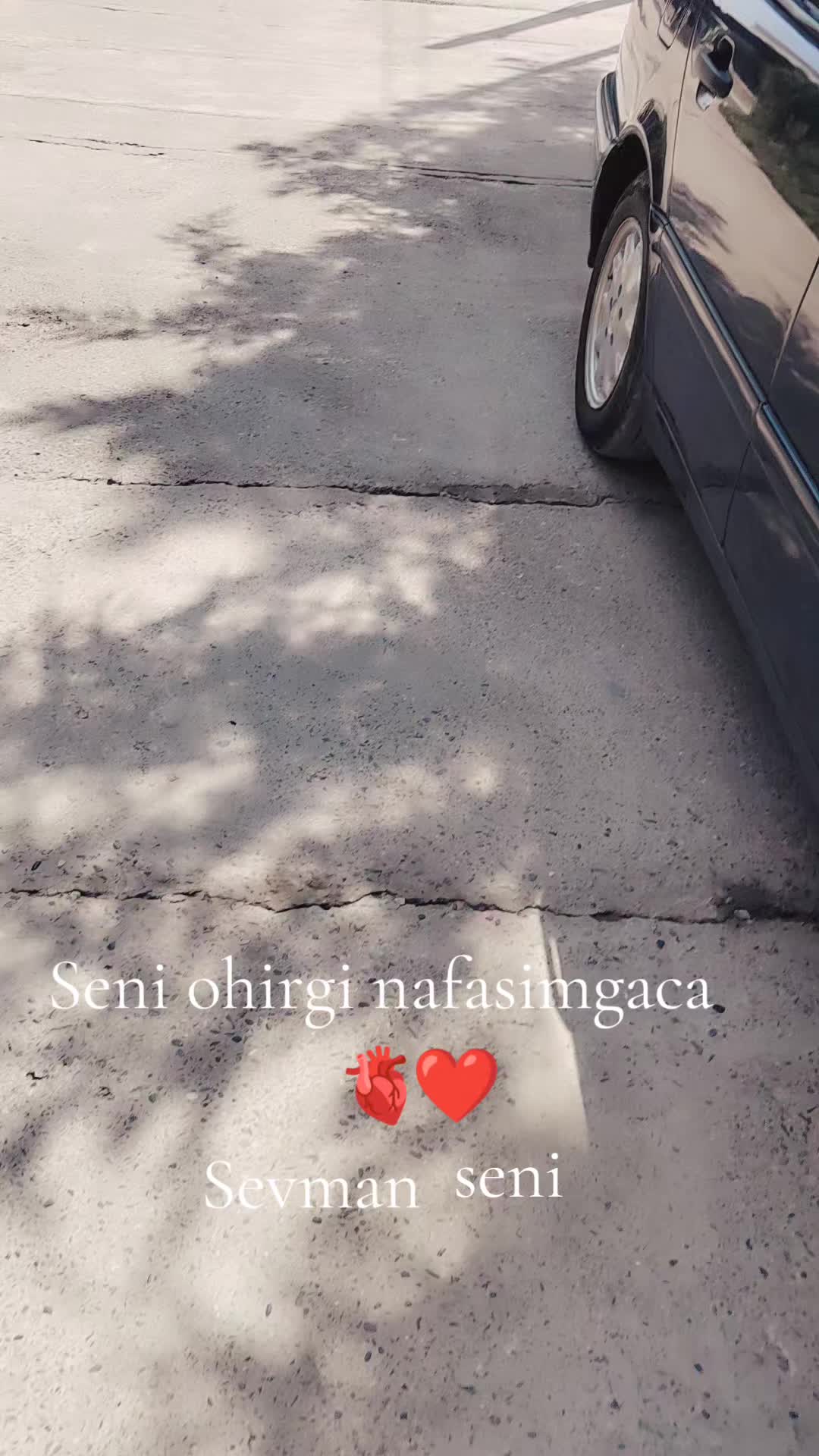 @❤️HUMORA💚❤️
