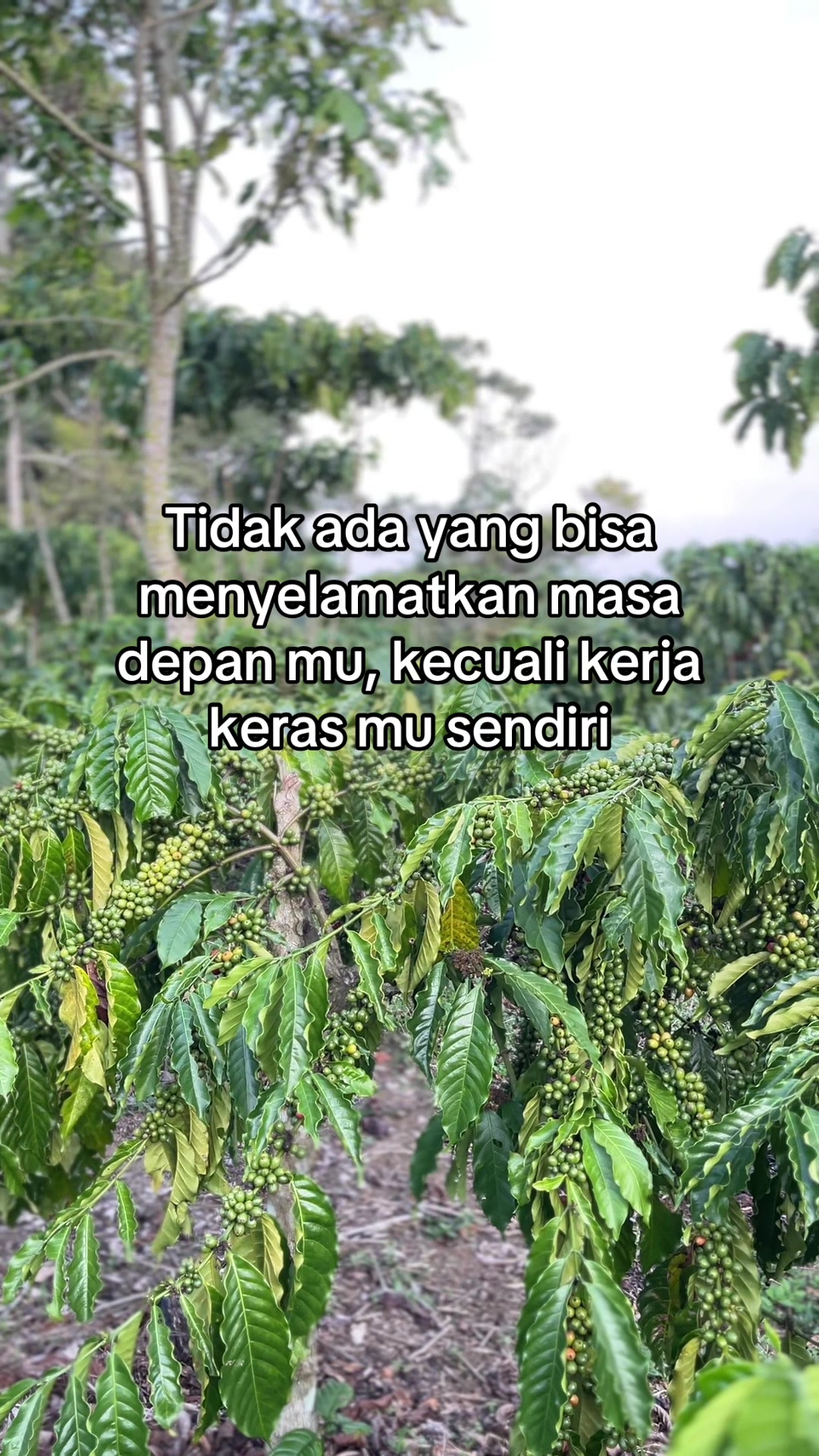 @Prof ☕️ MILENIAL