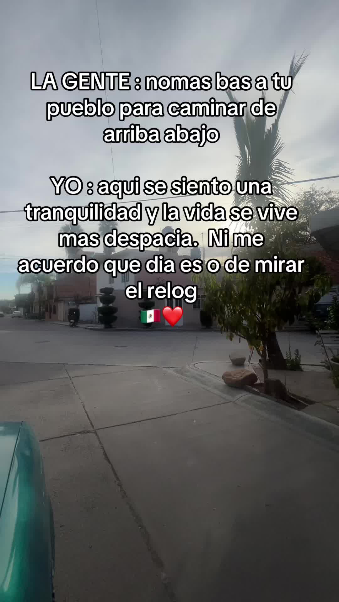 @Anaseli laris