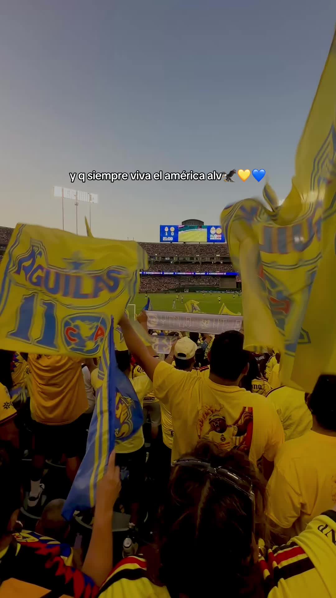 @⋆. 𐙚˚࿔ 𝐚𝐝𝐫𝐢 𝜗𝜚˚⋆