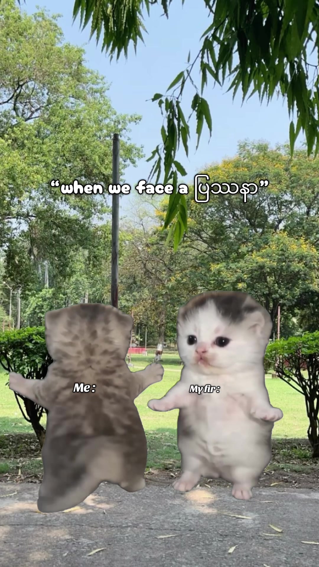 @Pancakeð°