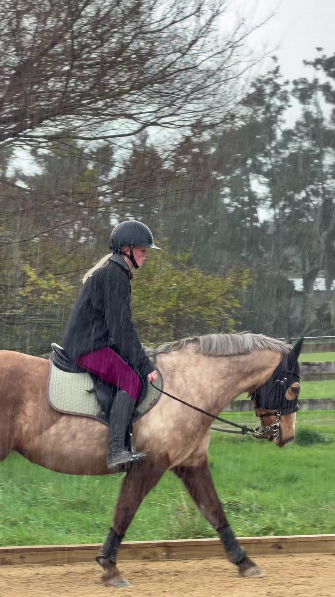 @Savanah_equestrian