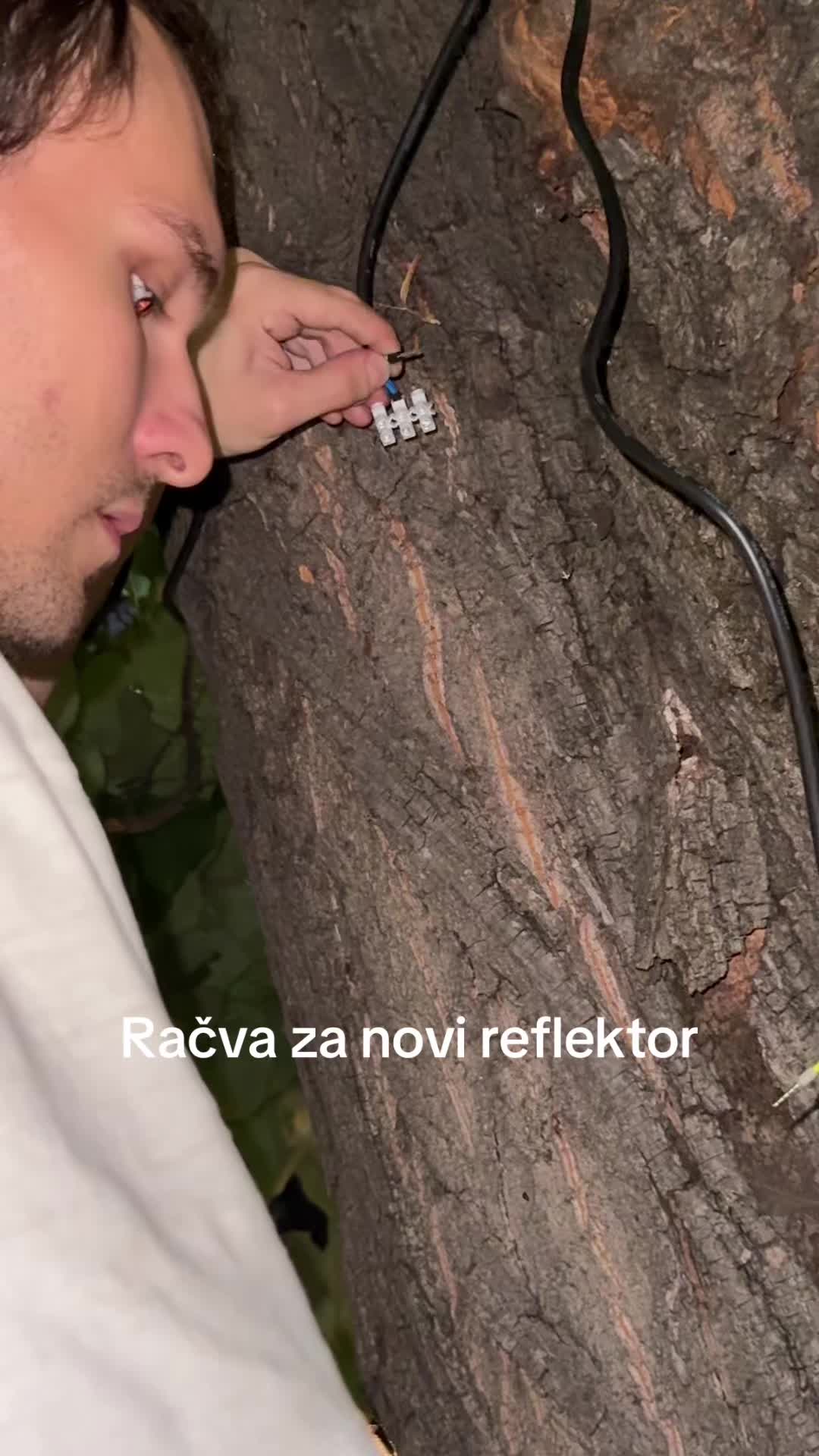 @Maksim Električar