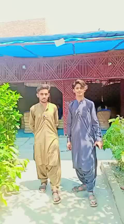 @shakeelbaloch534