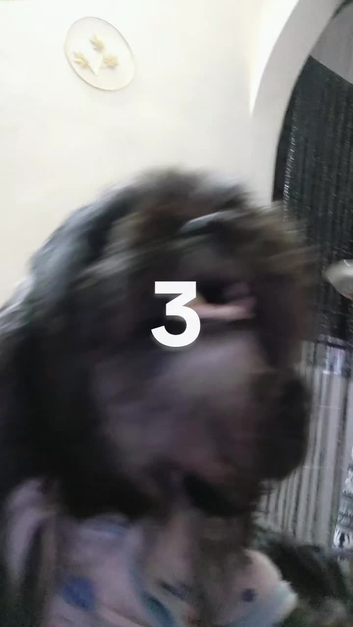 @Matharuyut
