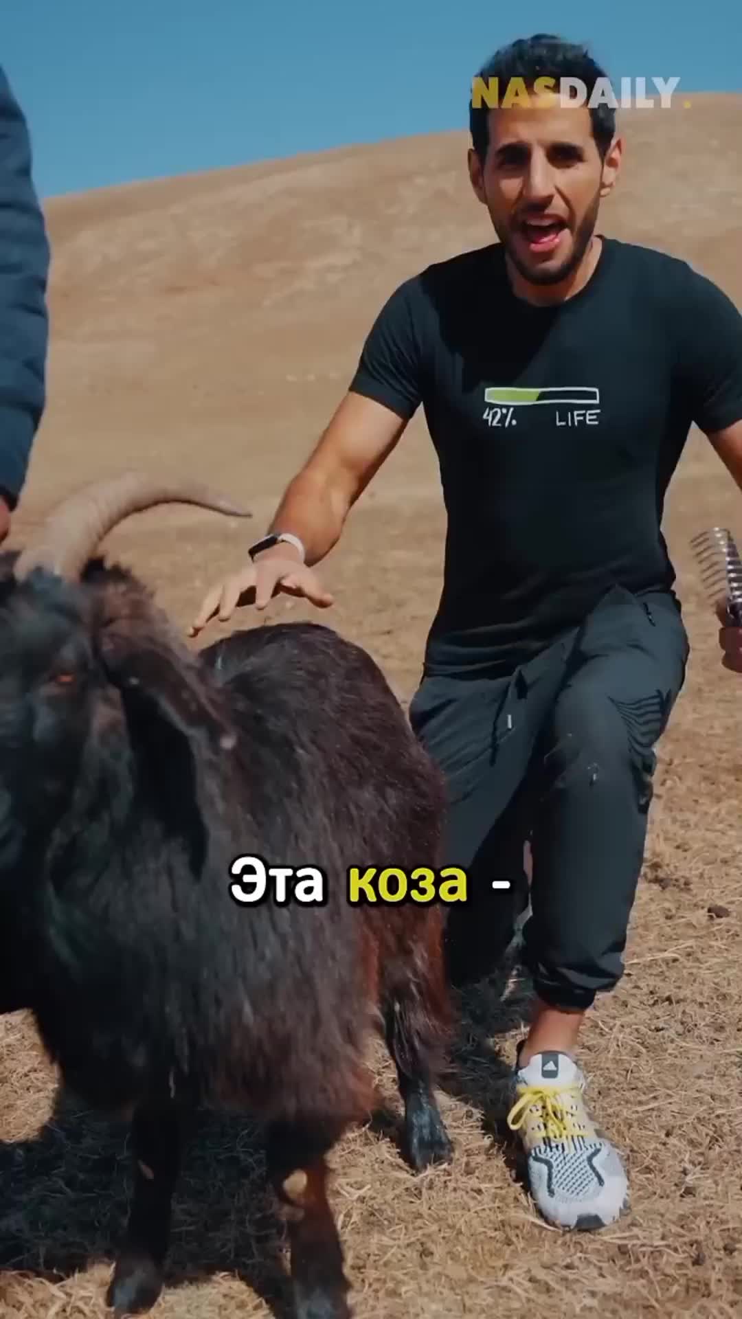 @Ло чокопай[🇰🇿]