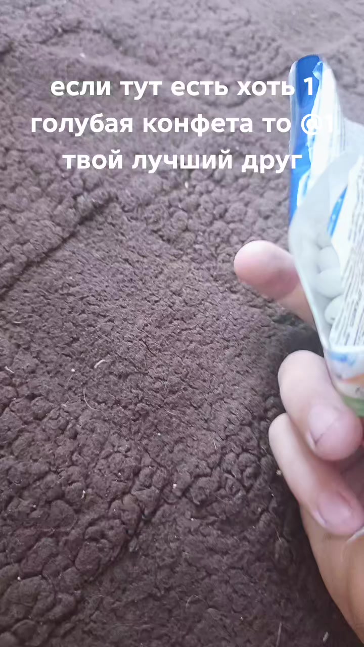 @ROST1SLAV