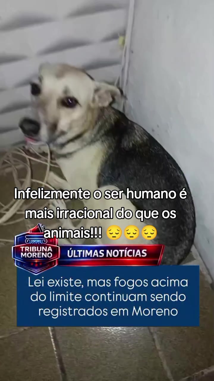 @Marcos Sarinho
