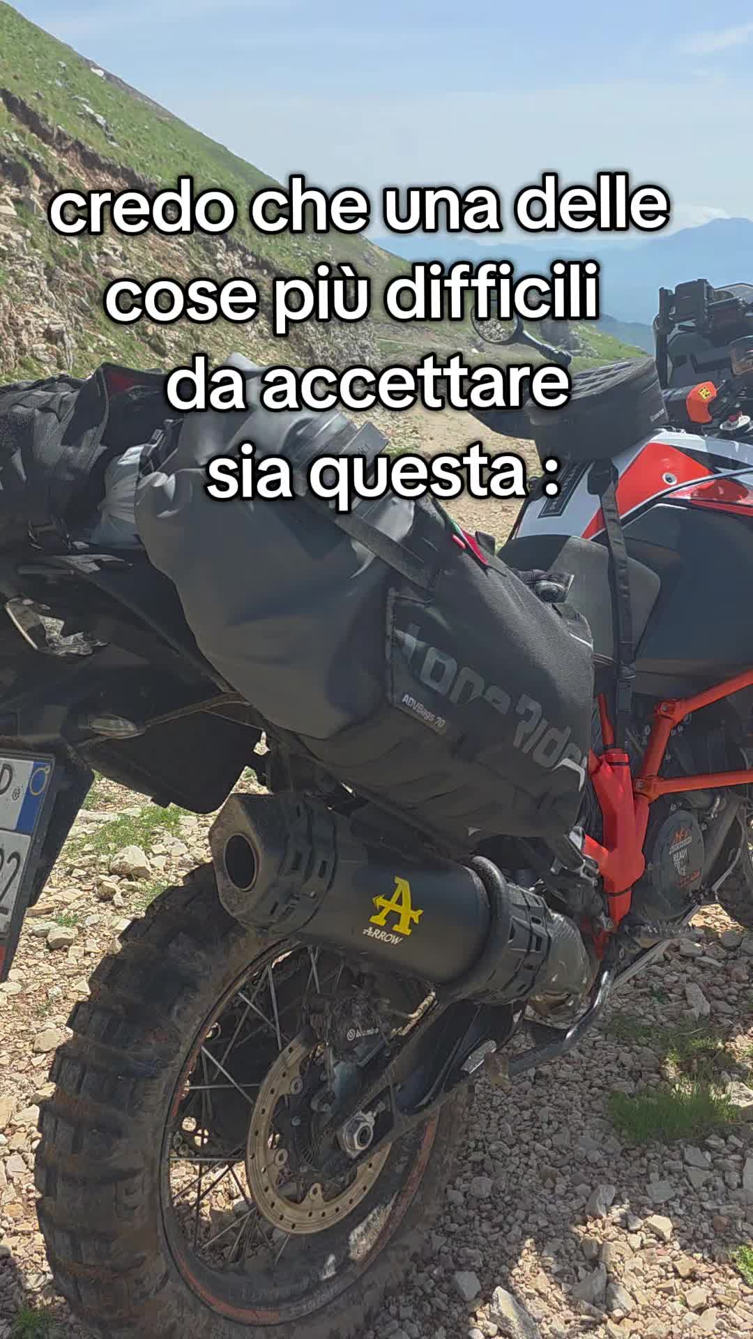 @Daniele Bernaschino 🦍🦁