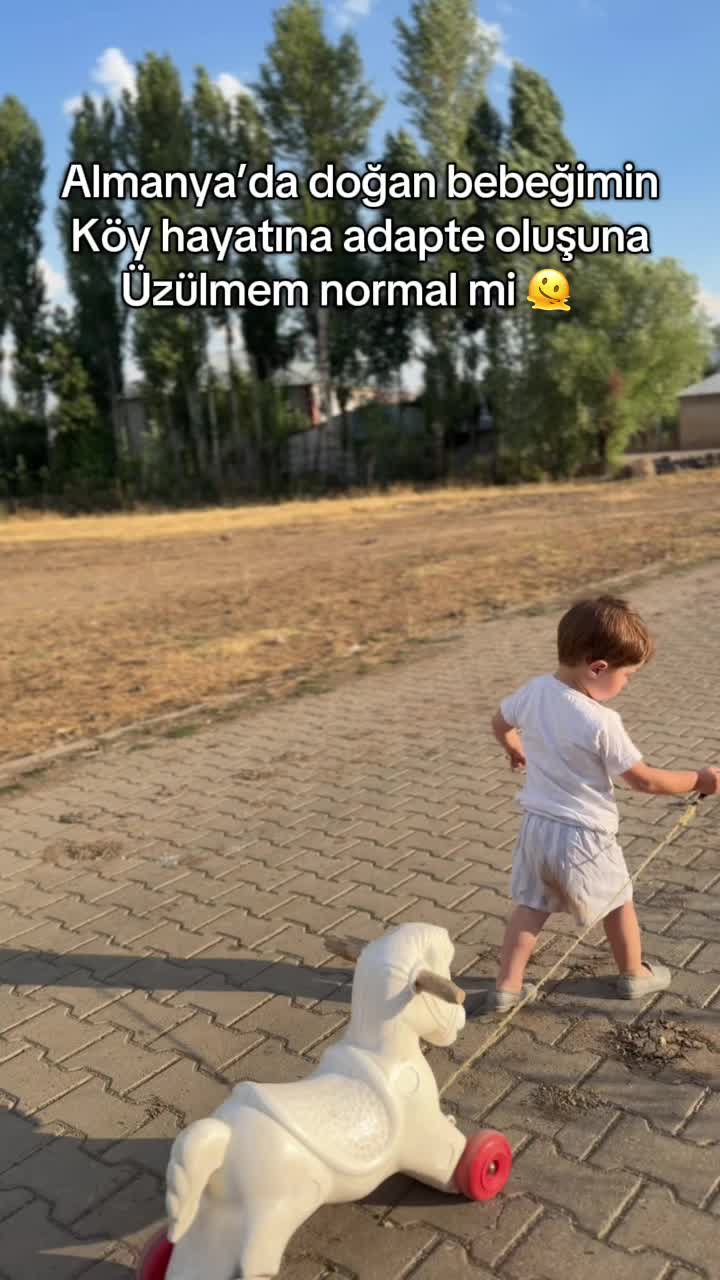 @seher neumann