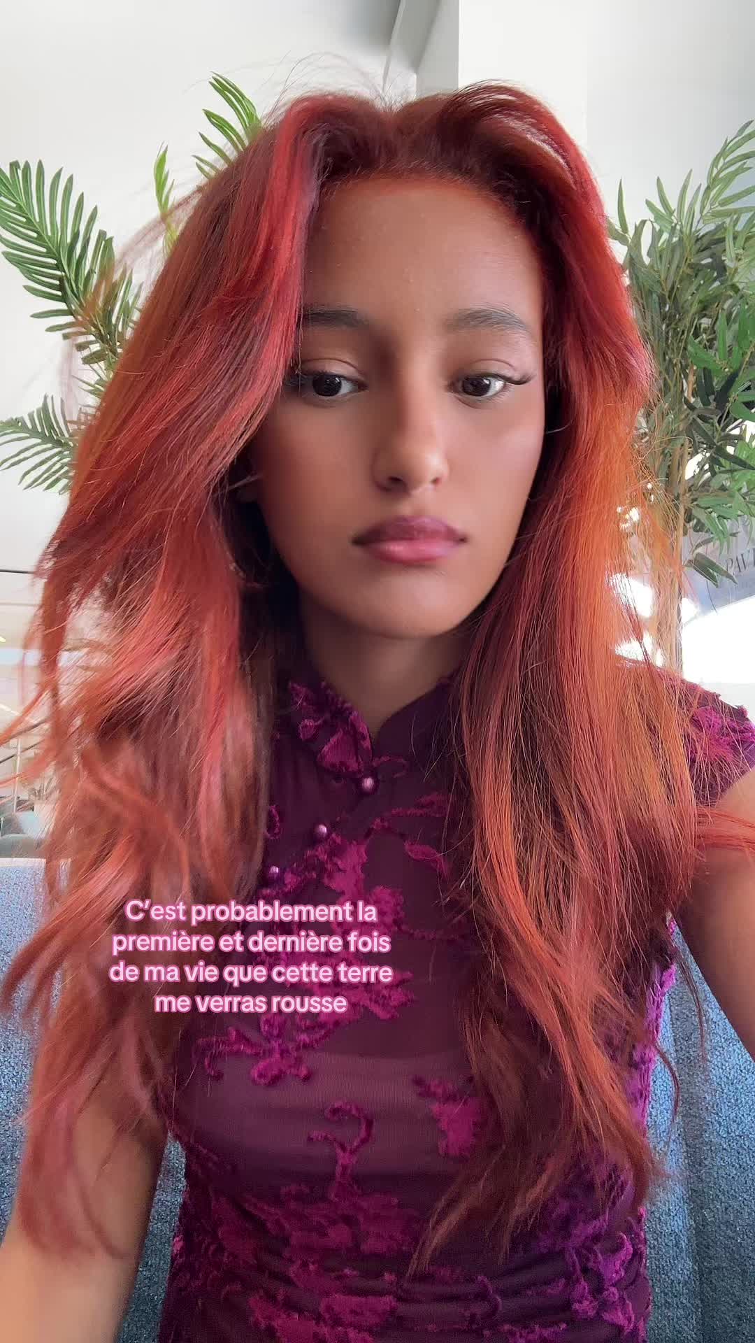 @nortrixy
