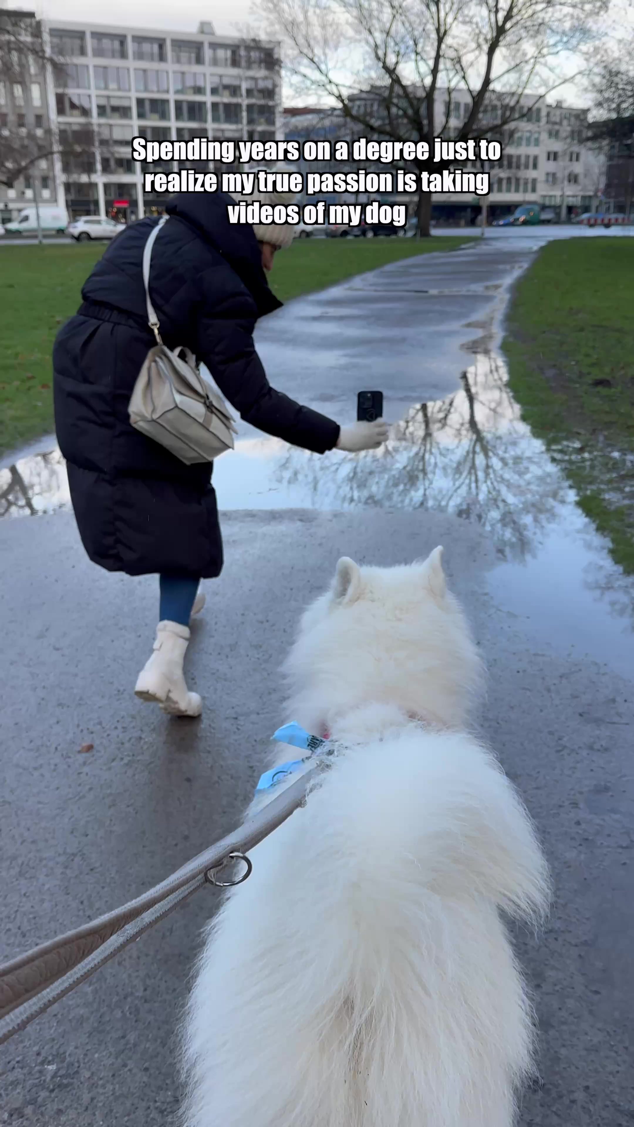 @wanderlust_samoyed