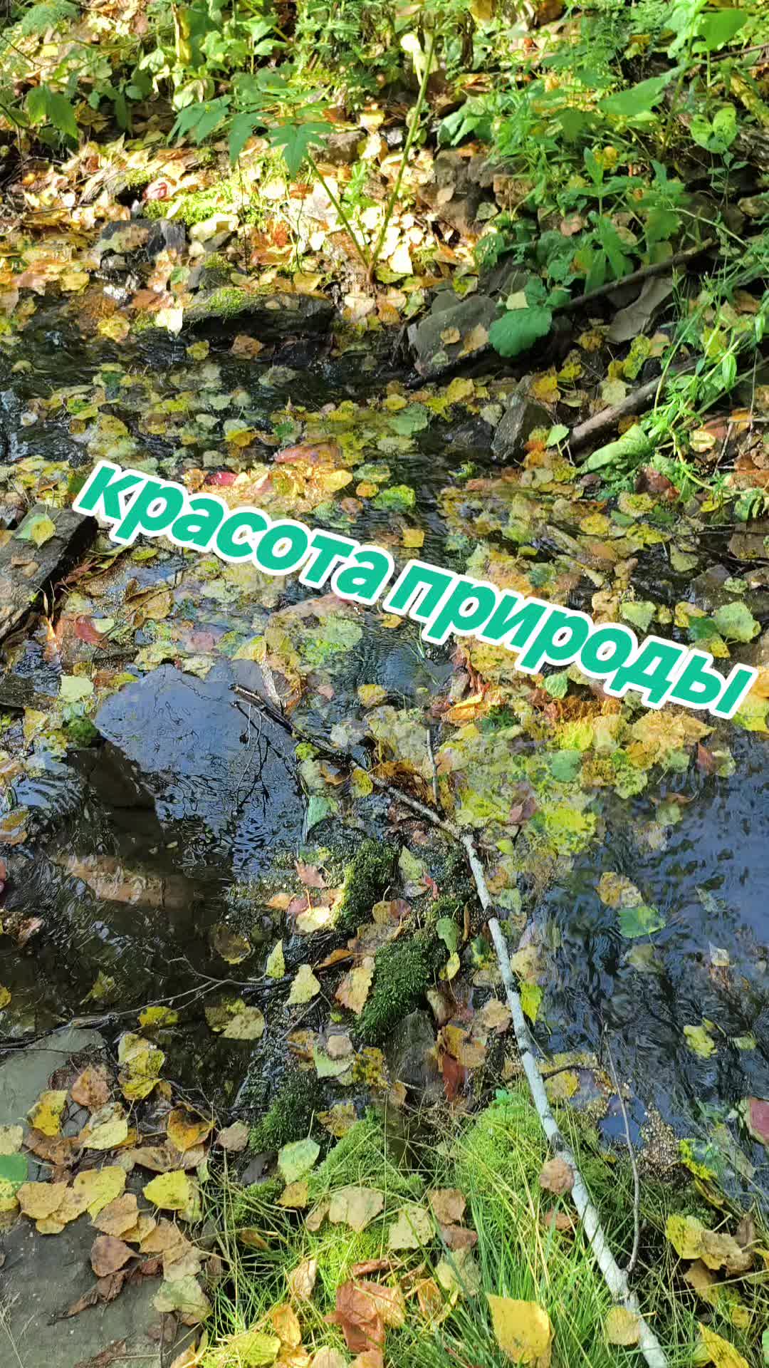 @Ольга🌷