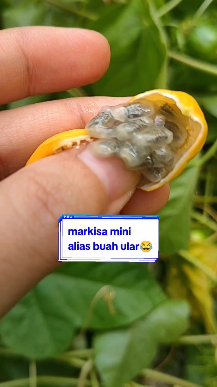 @Alina Yunita