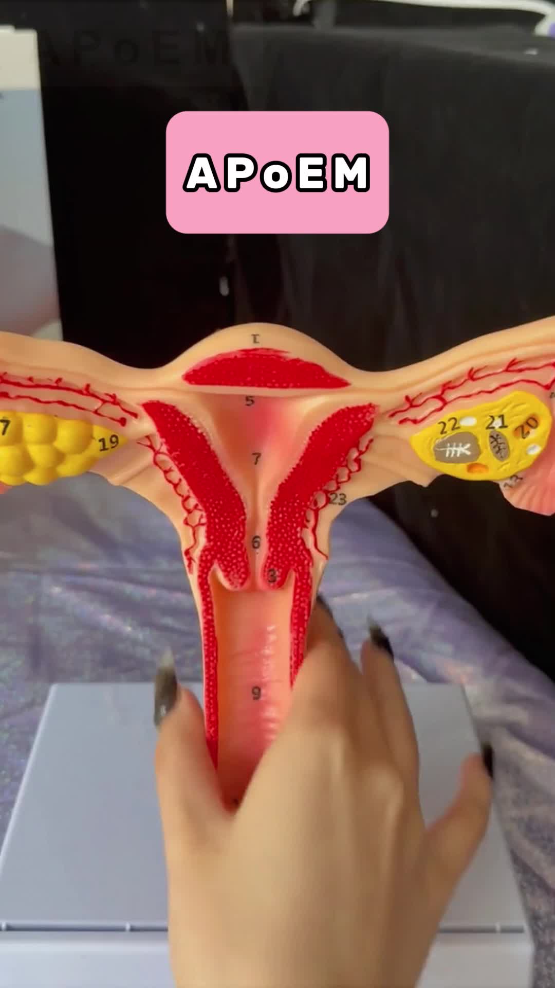 @Dailybloom