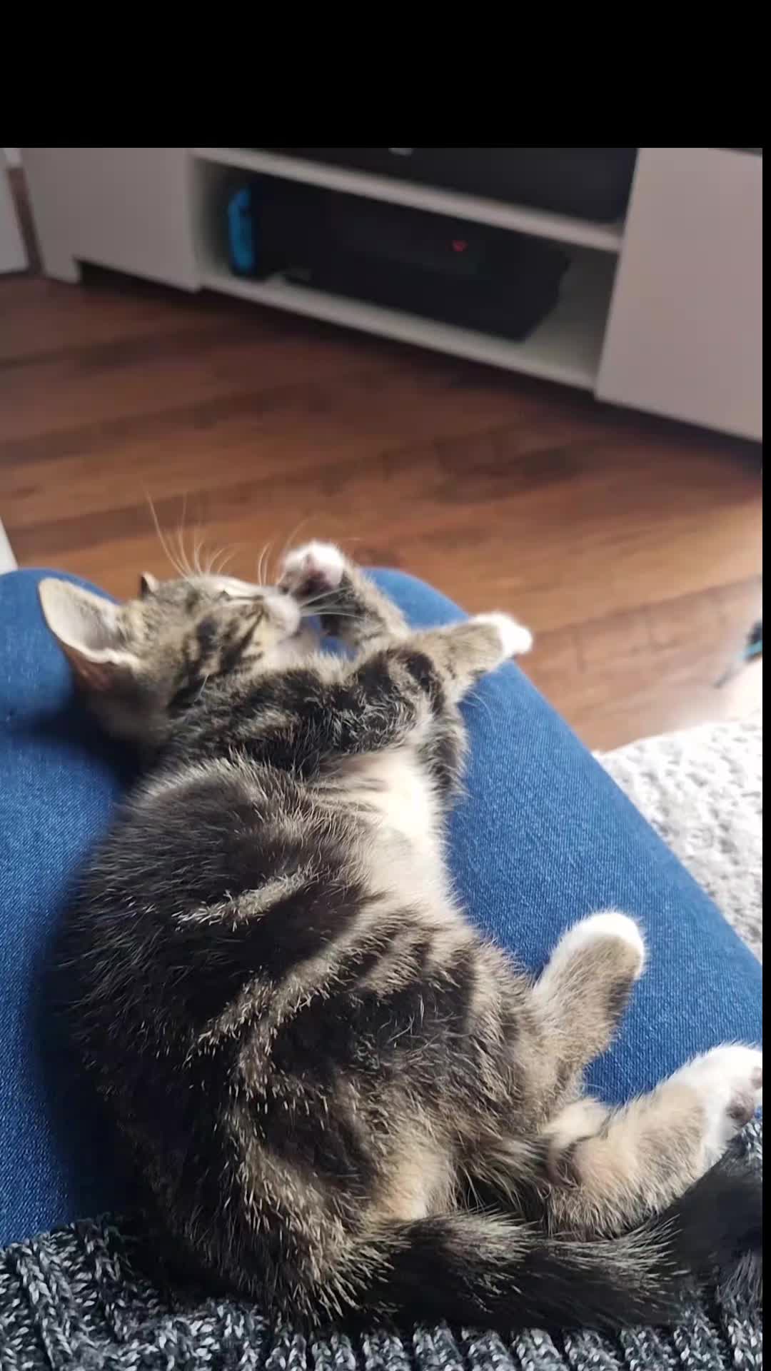 @Banjothecat2024