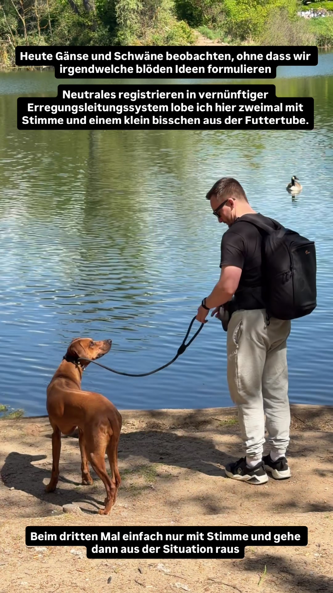 @Ridgeback Diaries