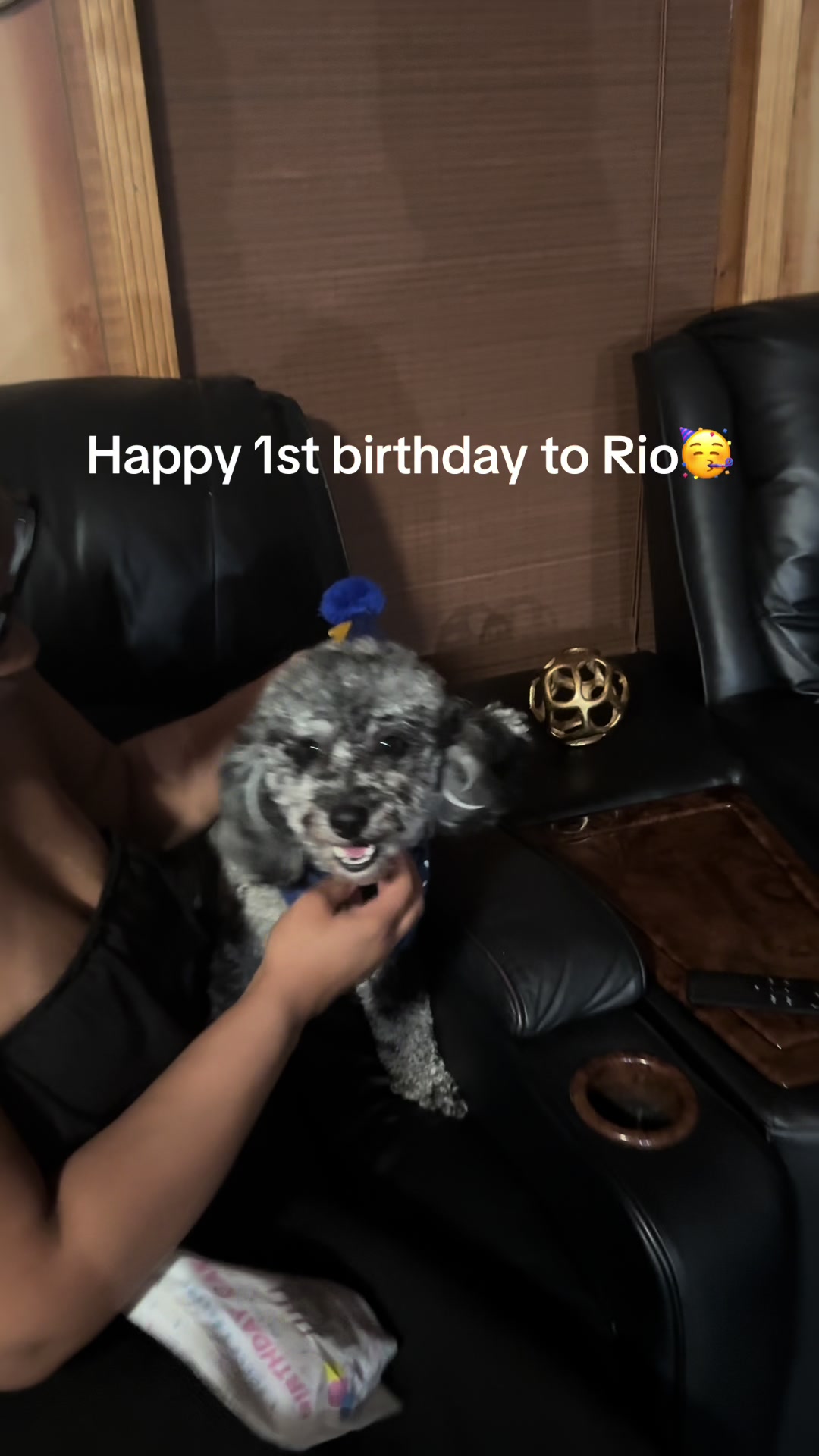 @Rio🐾